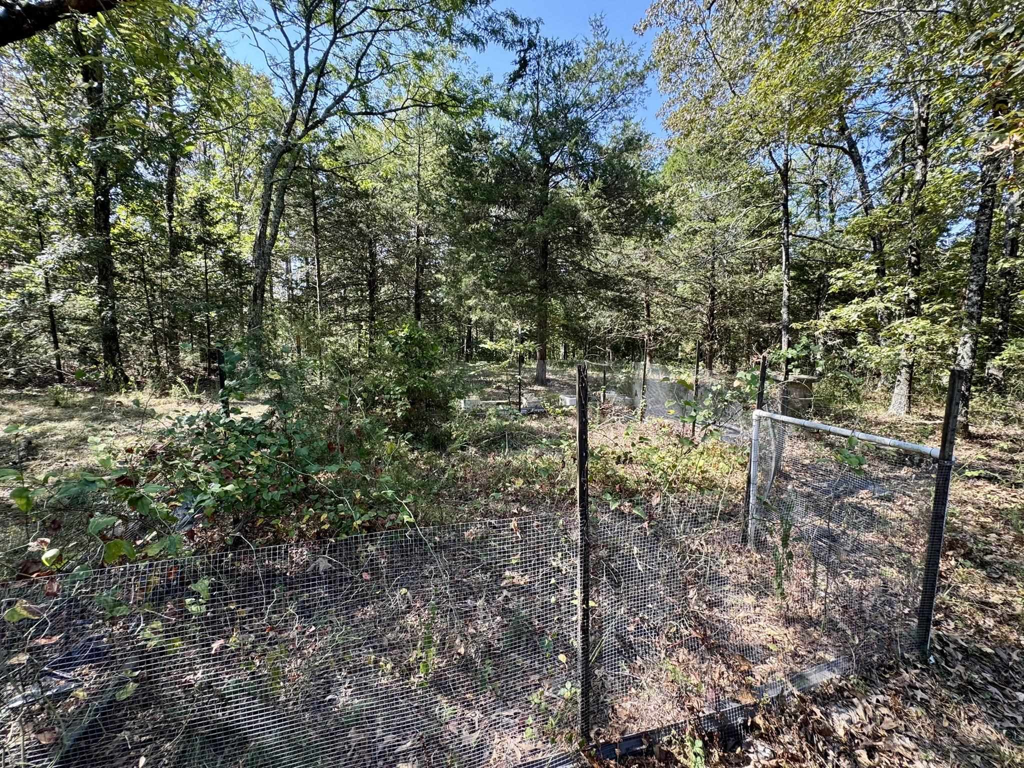 800 Foster Drive  Violet Hill, AR