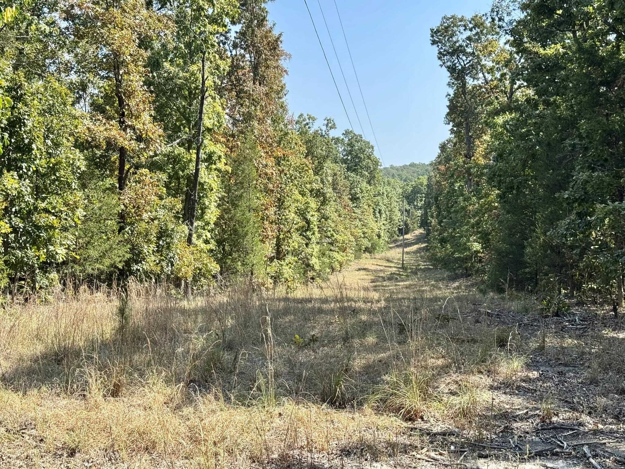 800 Foster Drive  Violet Hill, AR