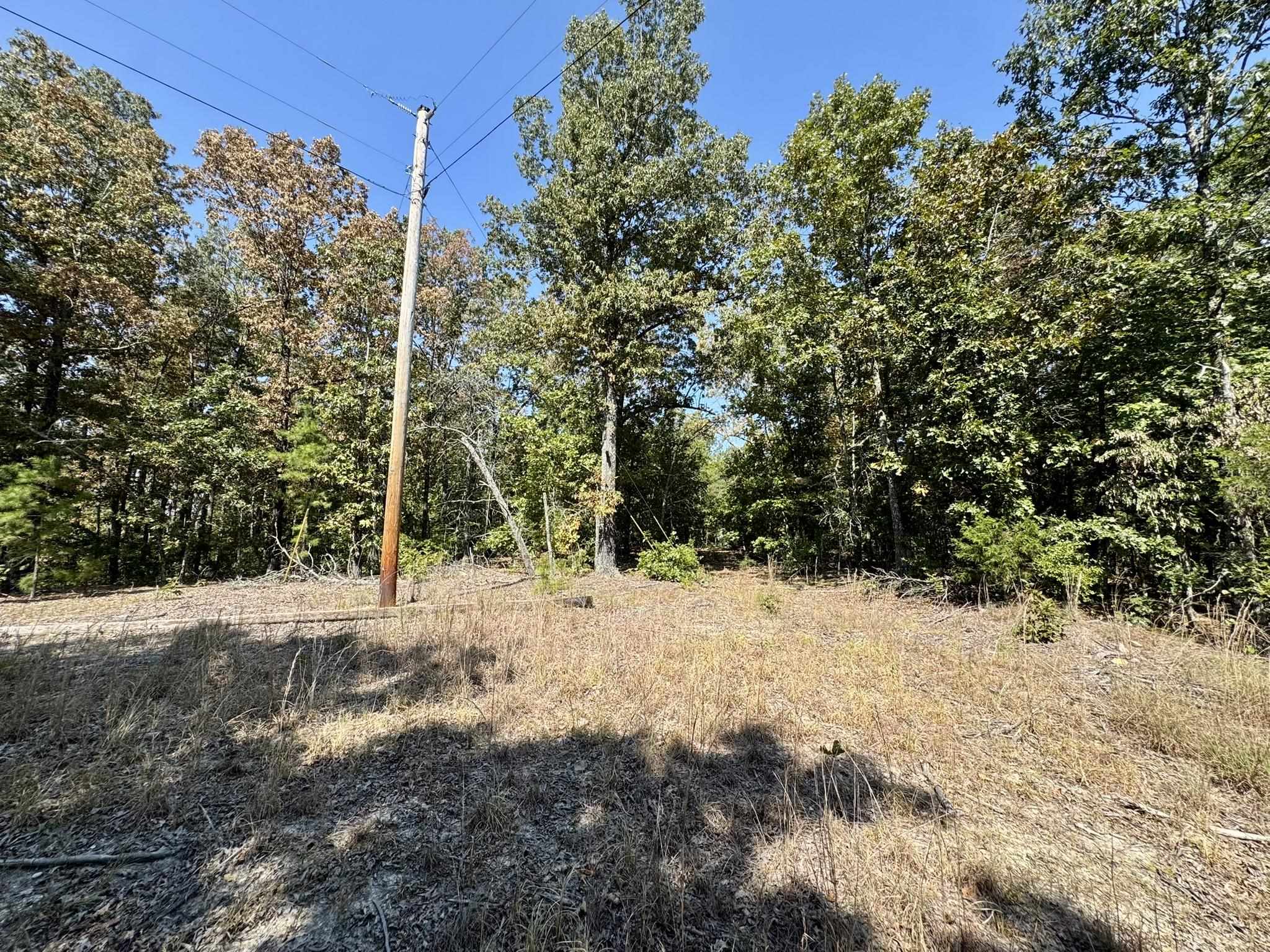 800 Foster Drive  Violet Hill, AR