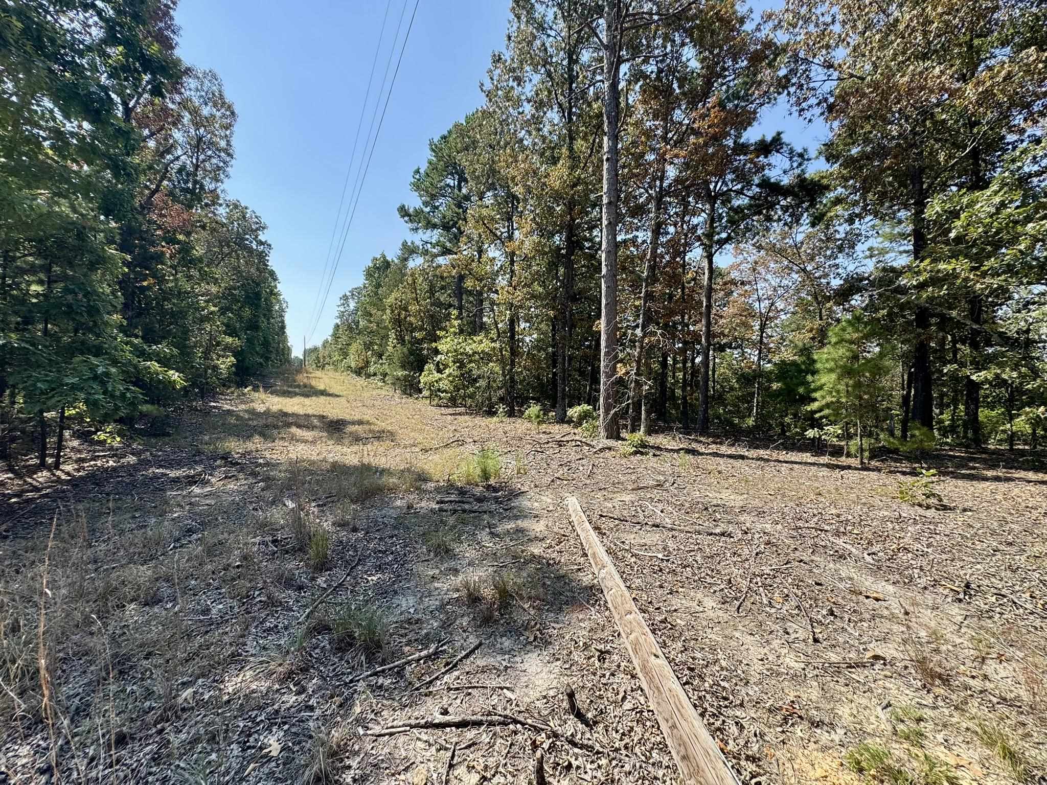 800 Foster Drive  Violet Hill, AR