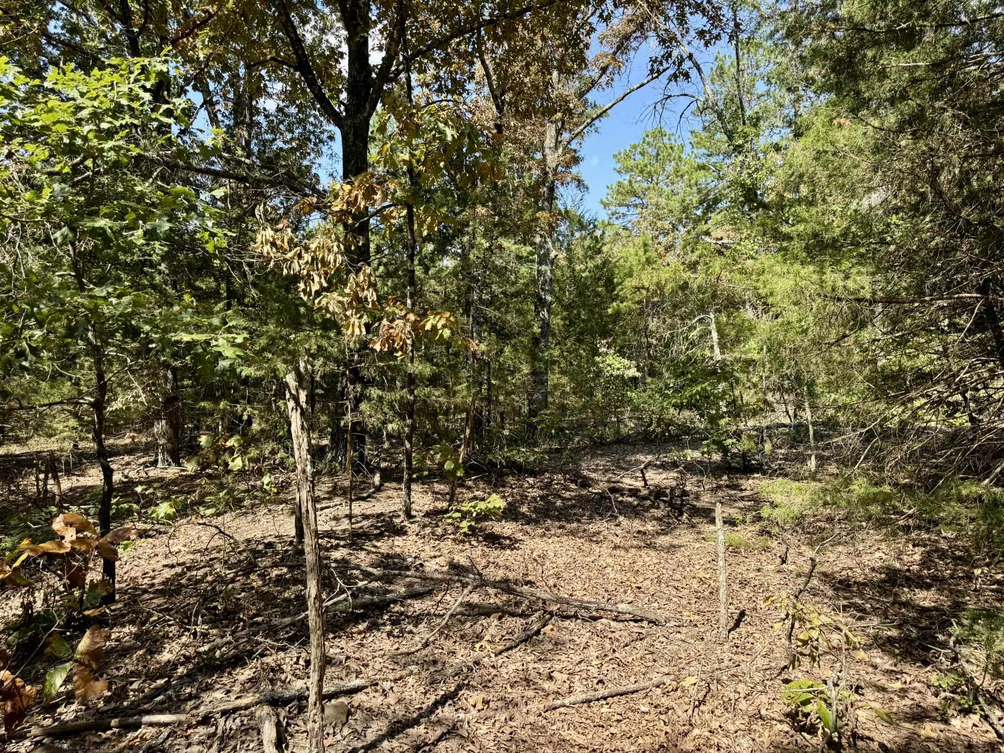 800 Foster Drive  Violet Hill, AR
