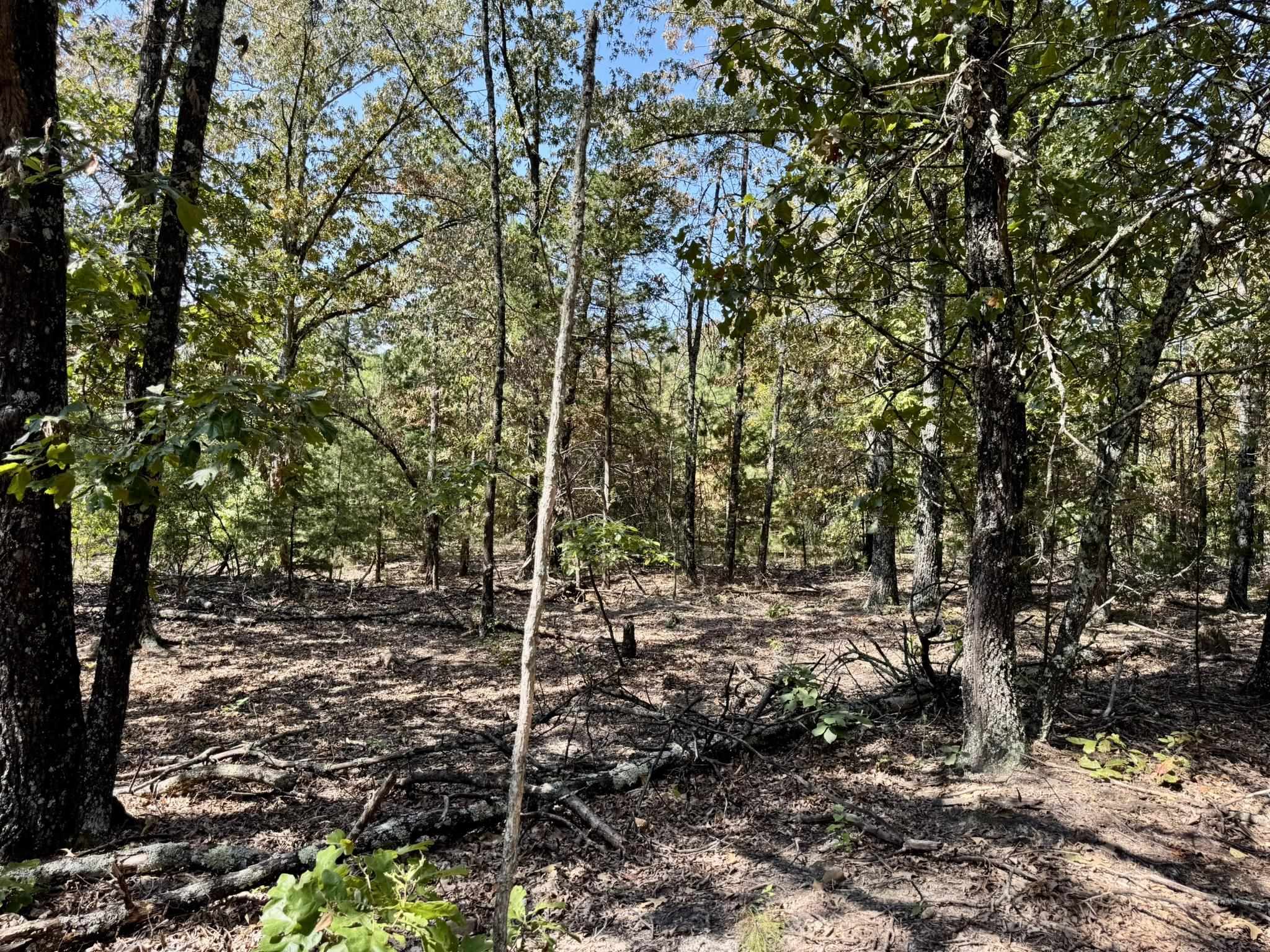 800 Foster Drive  Violet Hill, AR