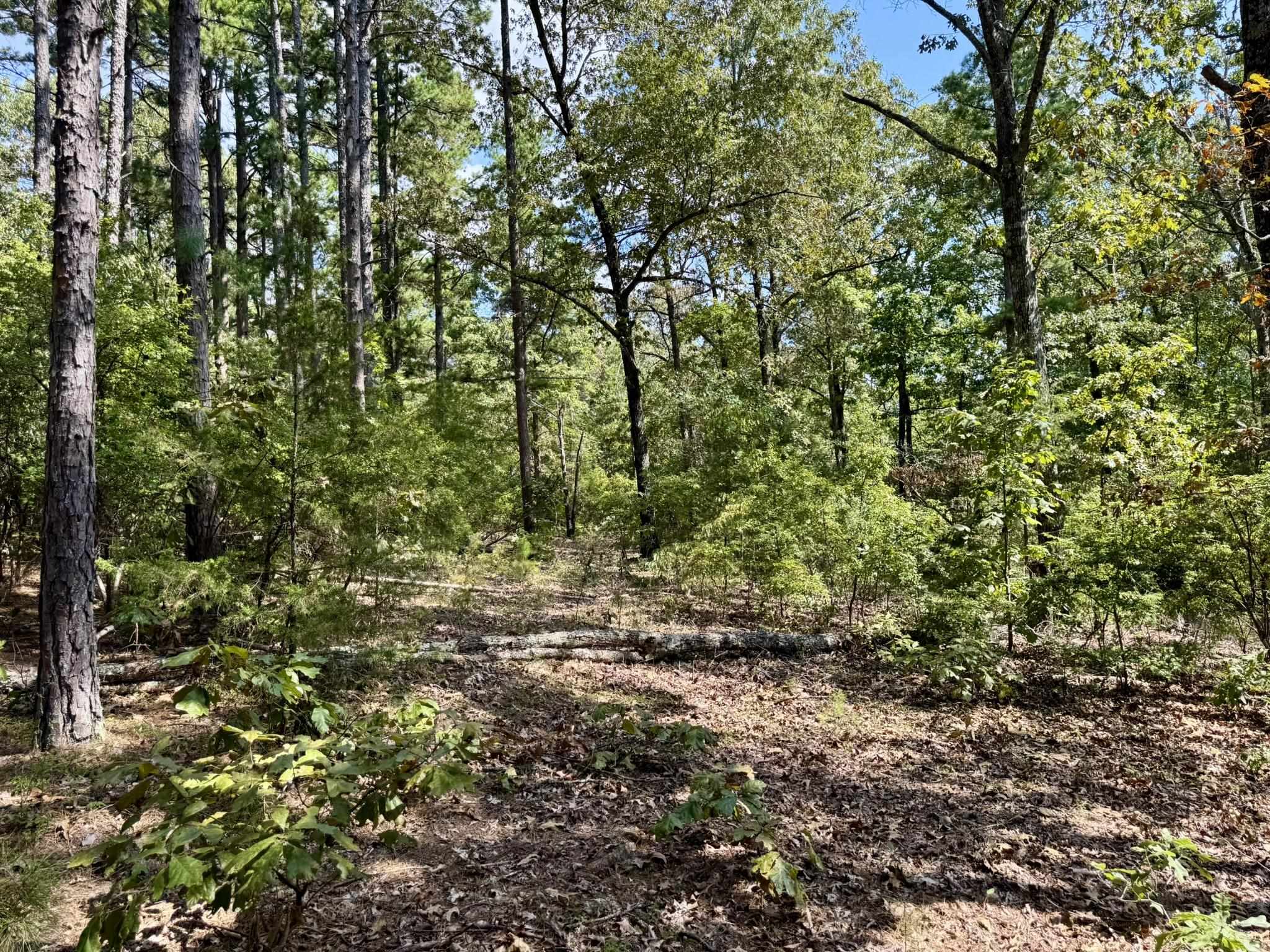 800 Foster Drive  Violet Hill, AR