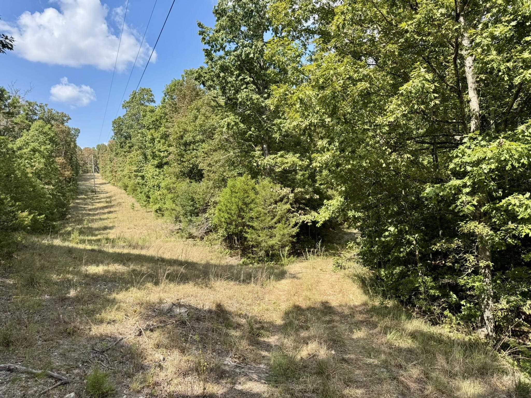 800 Foster Drive  Violet Hill, AR