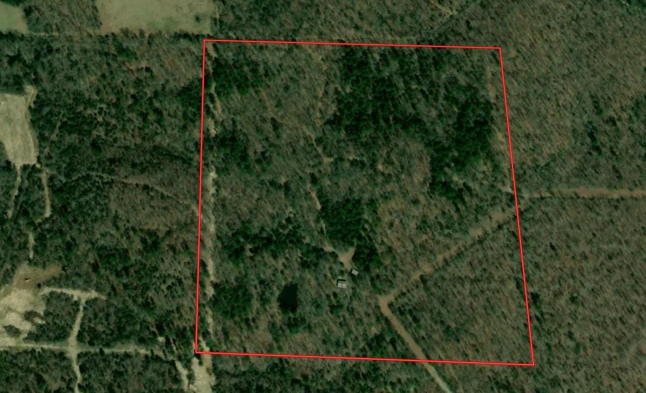 800 Foster Drive  Violet Hill, AR
