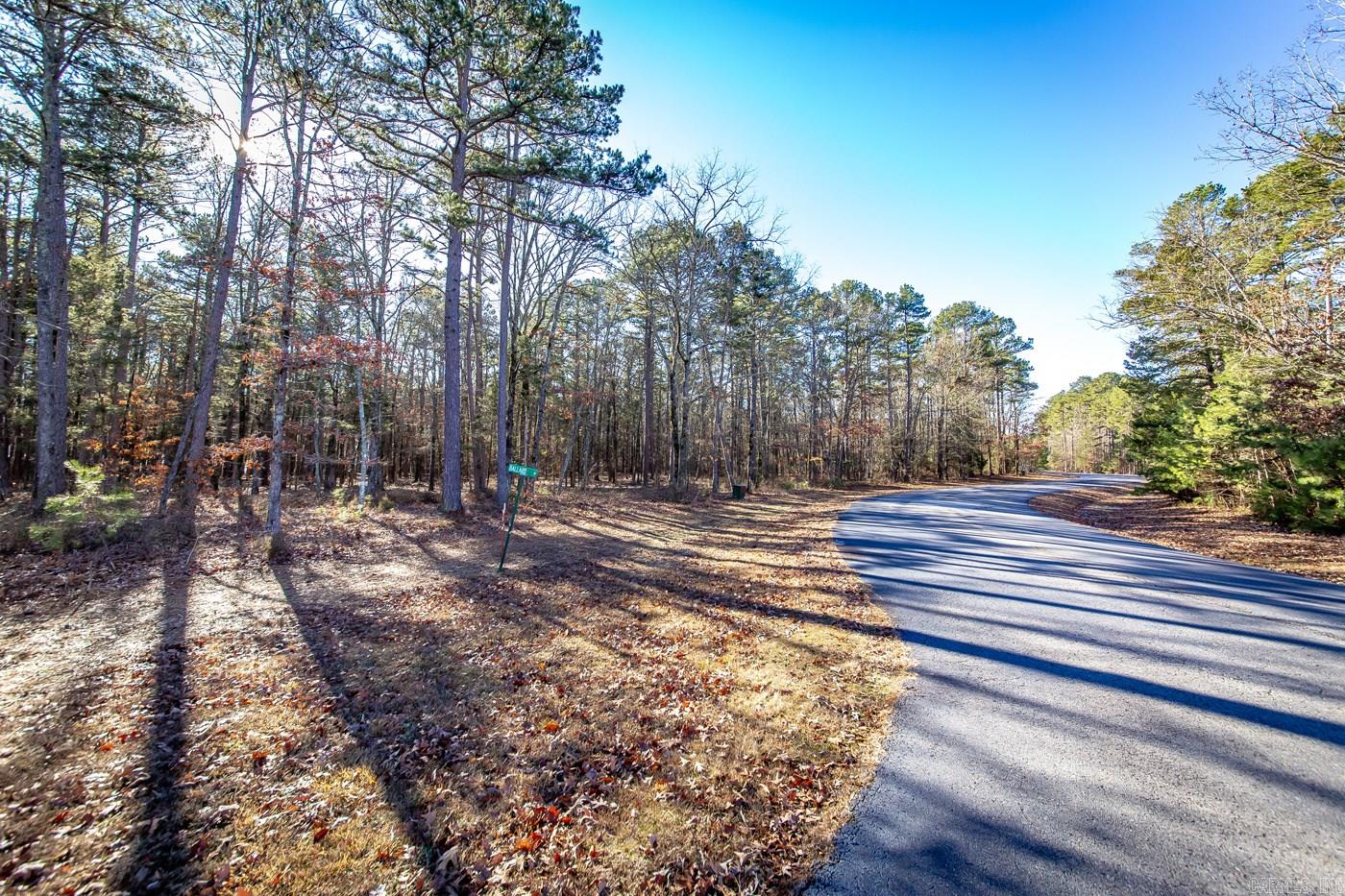 000 WOODS LANE  Clinton, AR