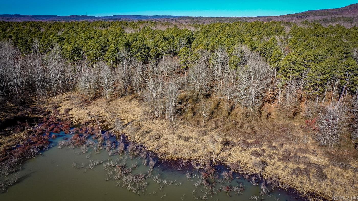 000 WOODS LANE  Clinton, AR