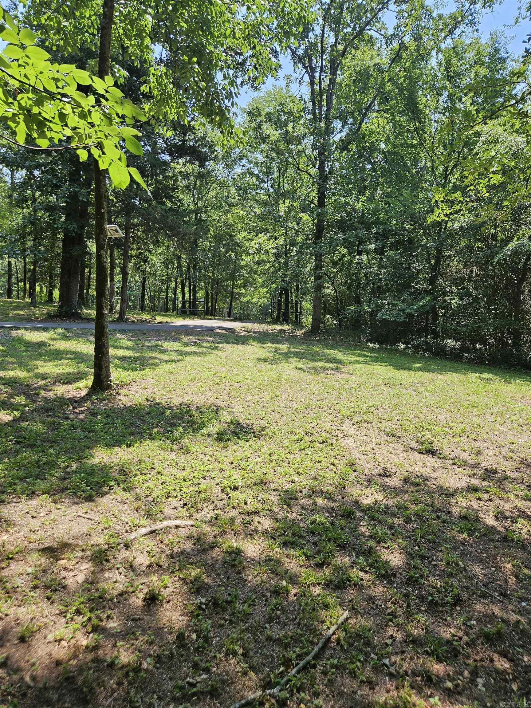159 Pleasant Forest  Nashville, AR