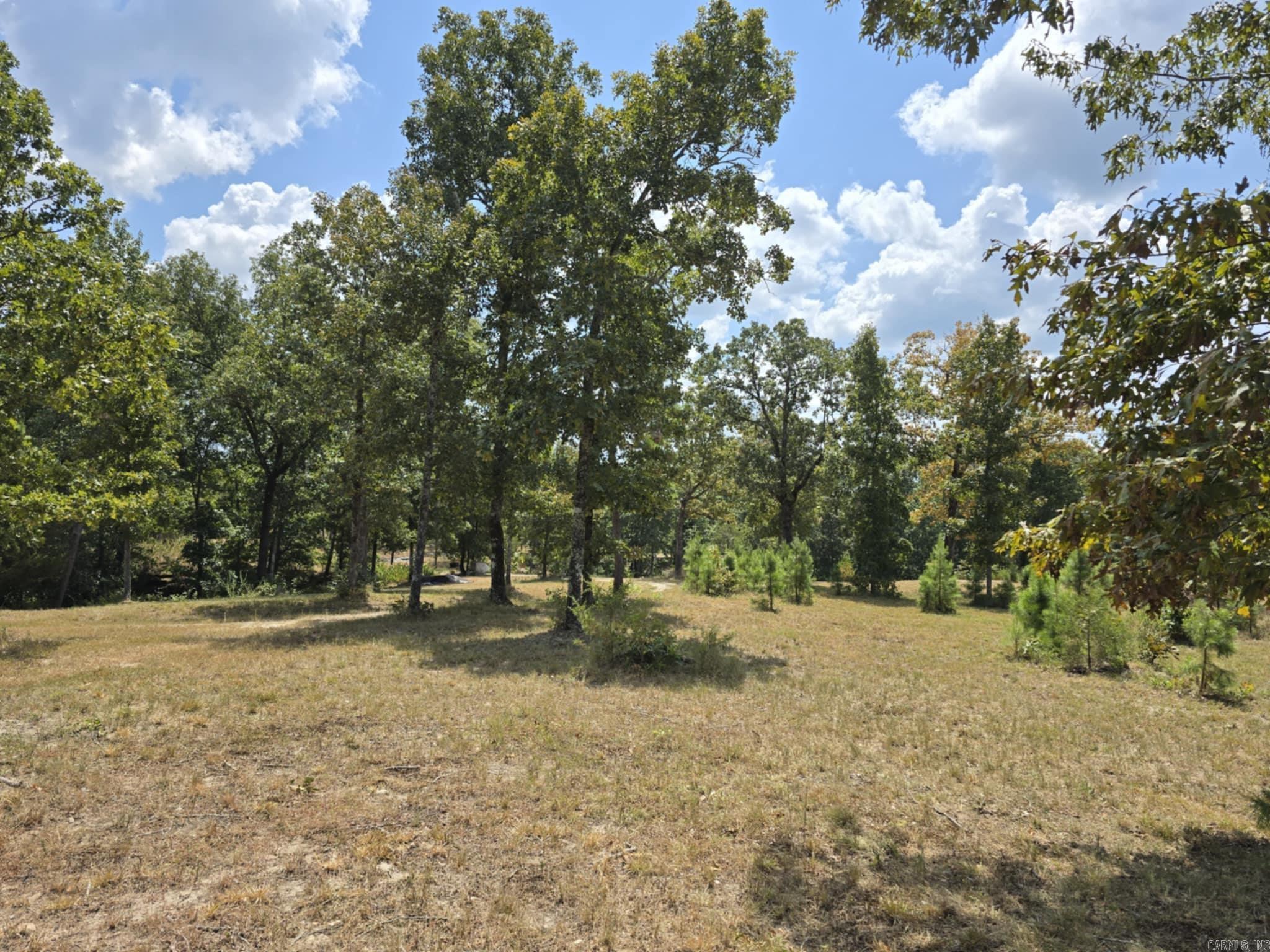 320 Pine Crest  Calico Rock, AR