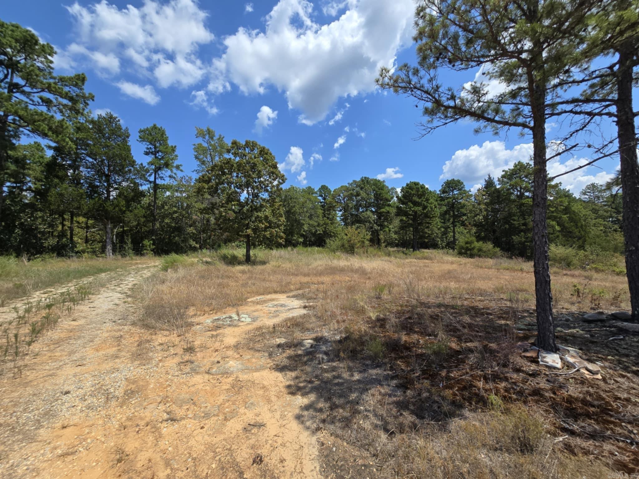320 Pine Crest  Calico Rock, AR