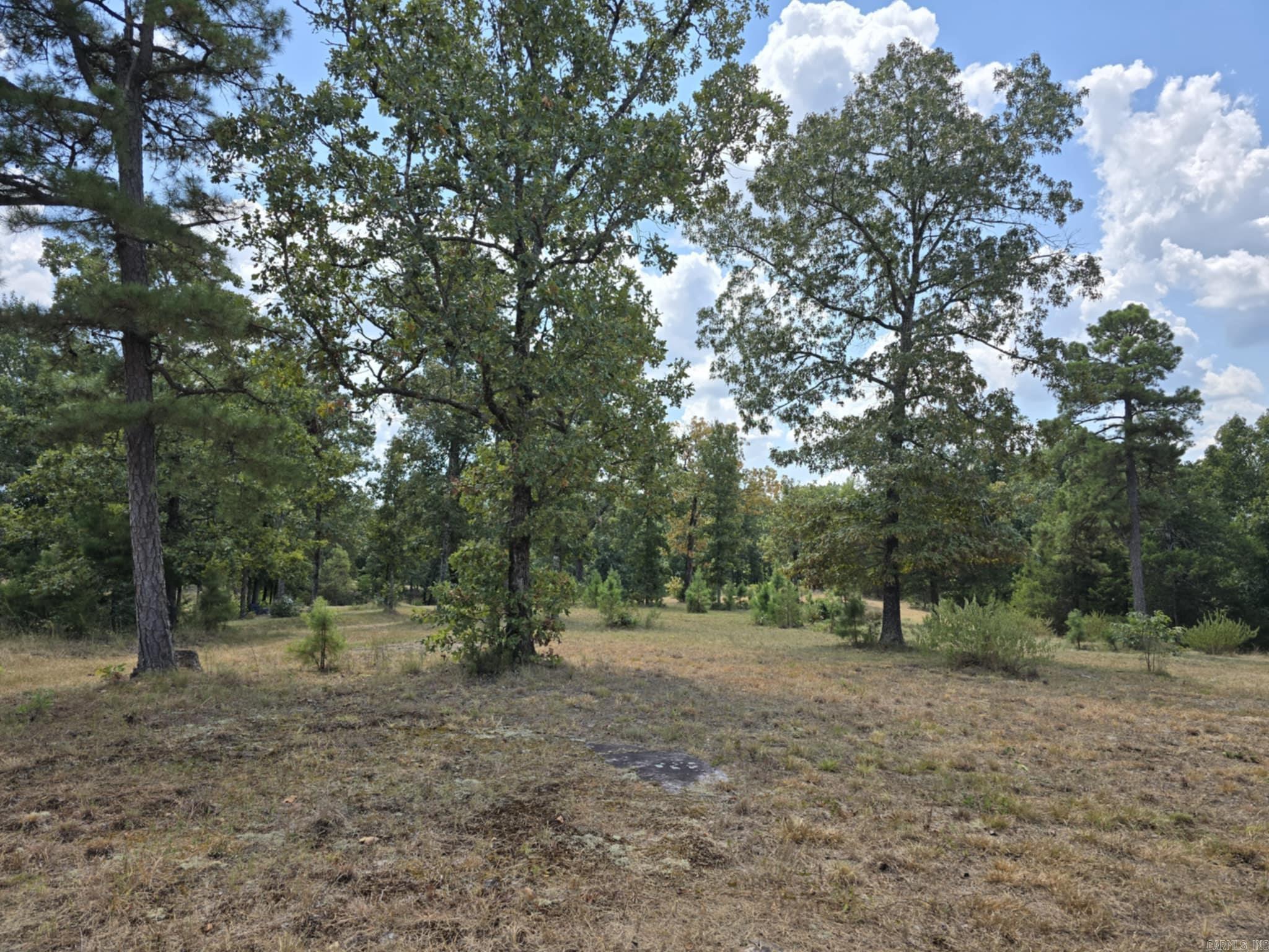 320 Pine Crest  Calico Rock, AR