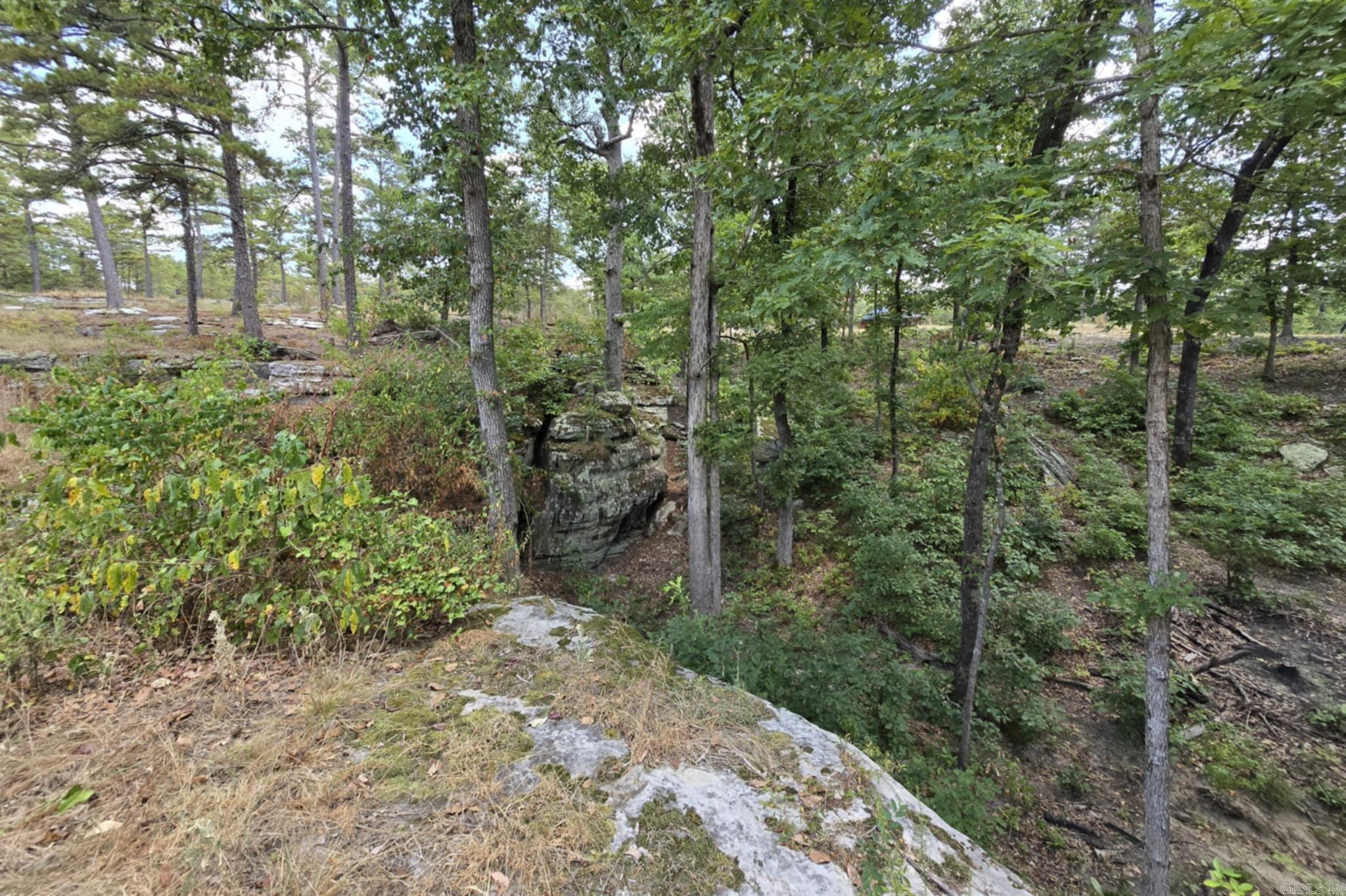 320 Pine Crest  Calico Rock, AR