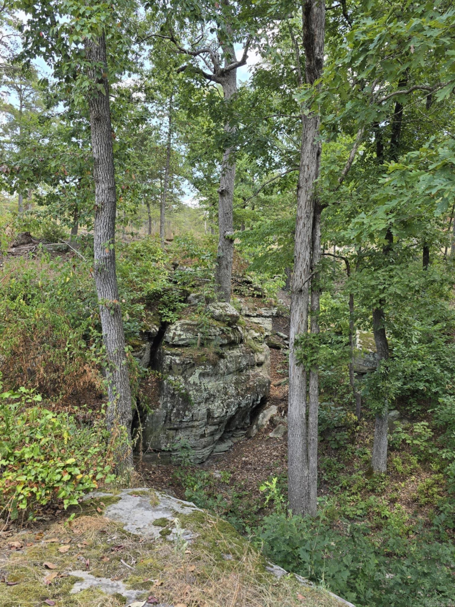 320 Pine Crest  Calico Rock, AR
