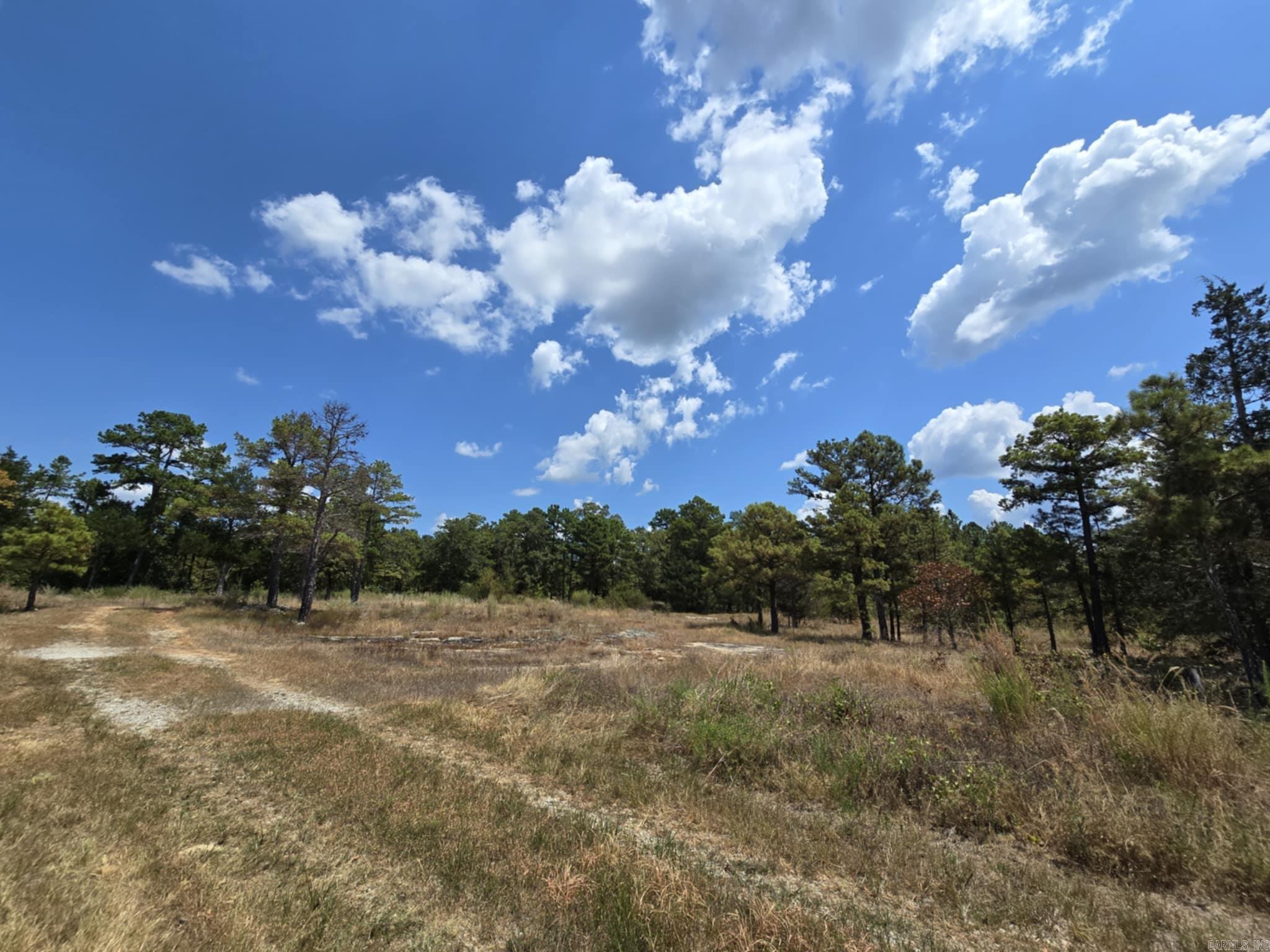 320 Pine Crest  Calico Rock, AR