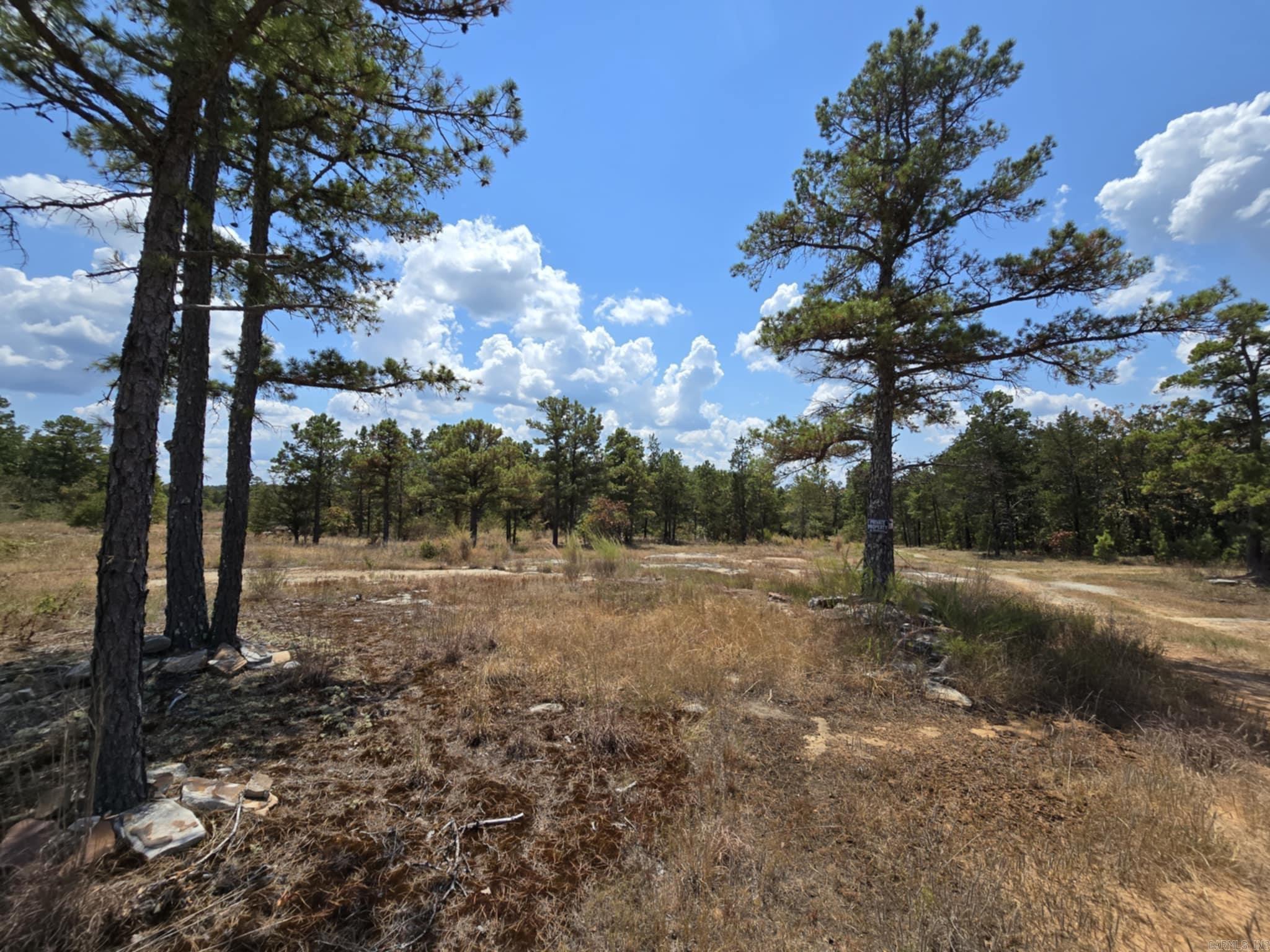 320 Pine Crest  Calico Rock, AR