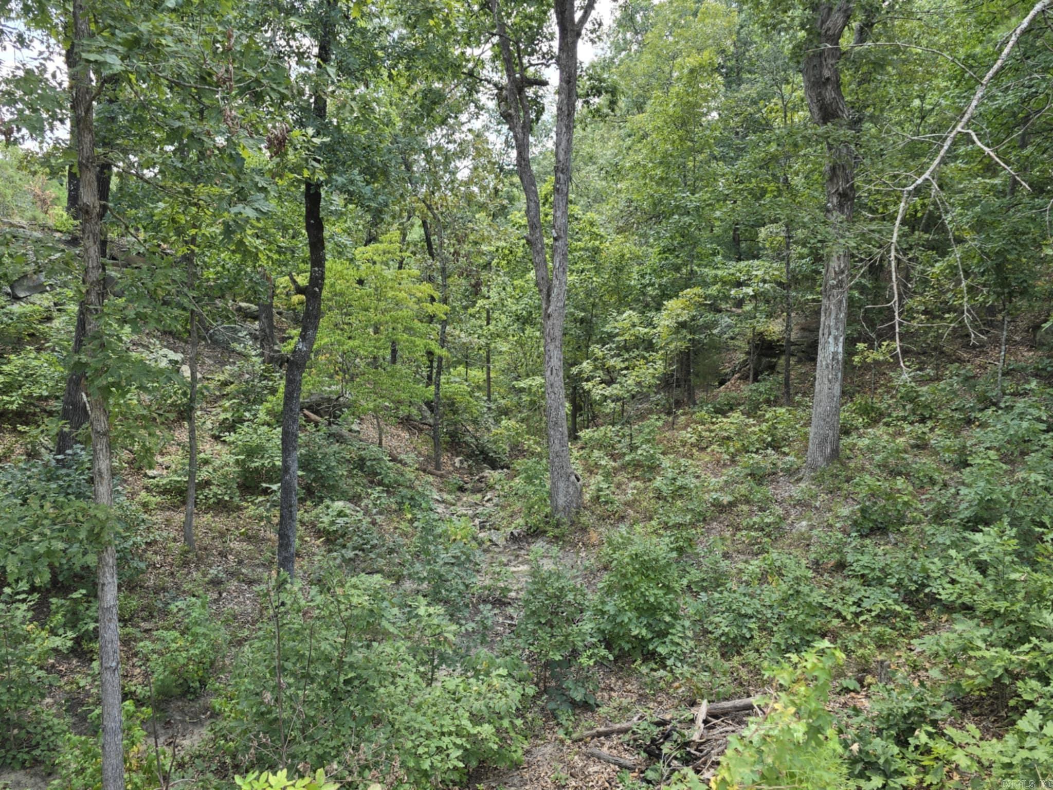 320 Pine Crest  Calico Rock, AR
