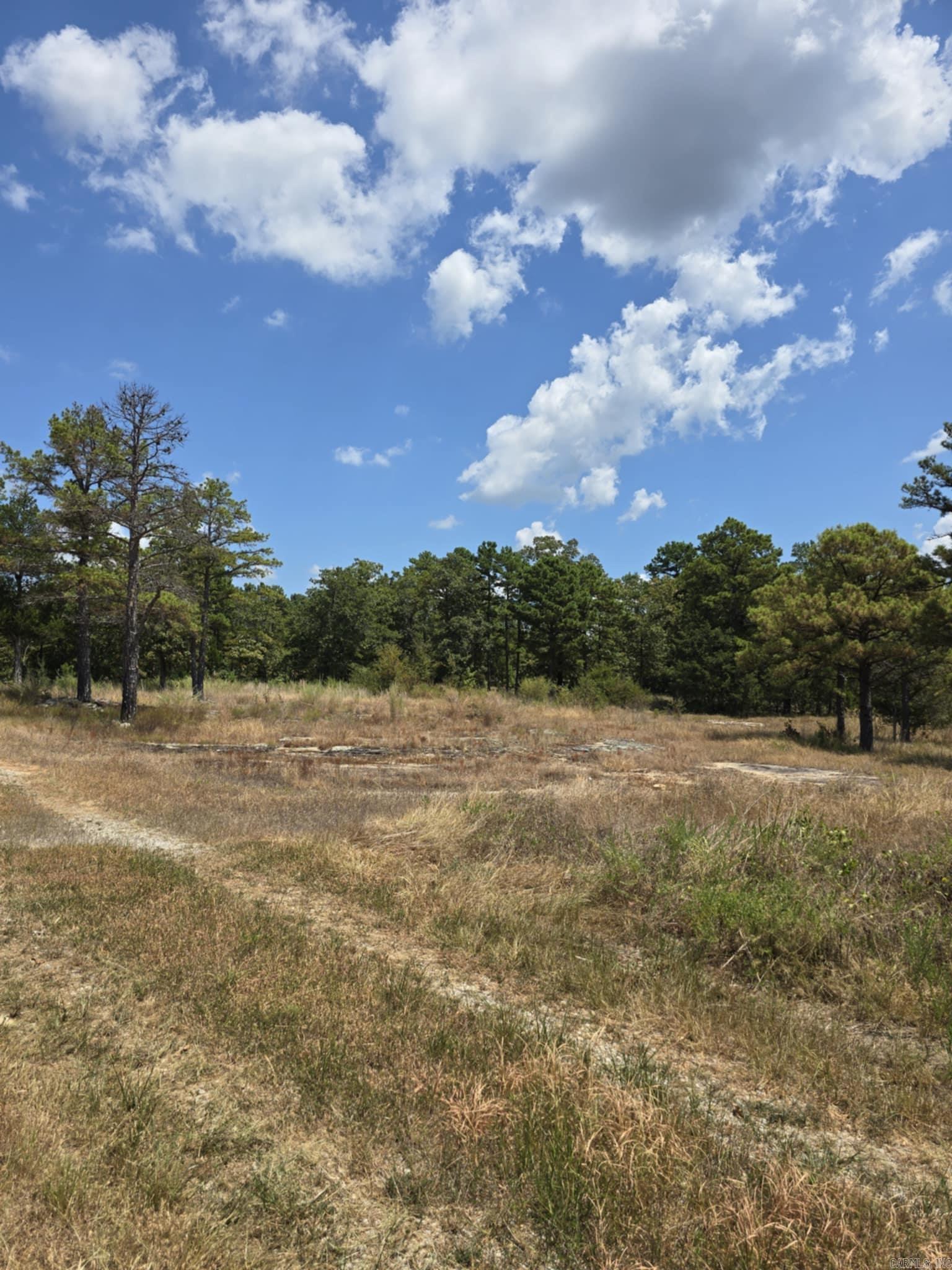 320 Pine Crest  Calico Rock, AR