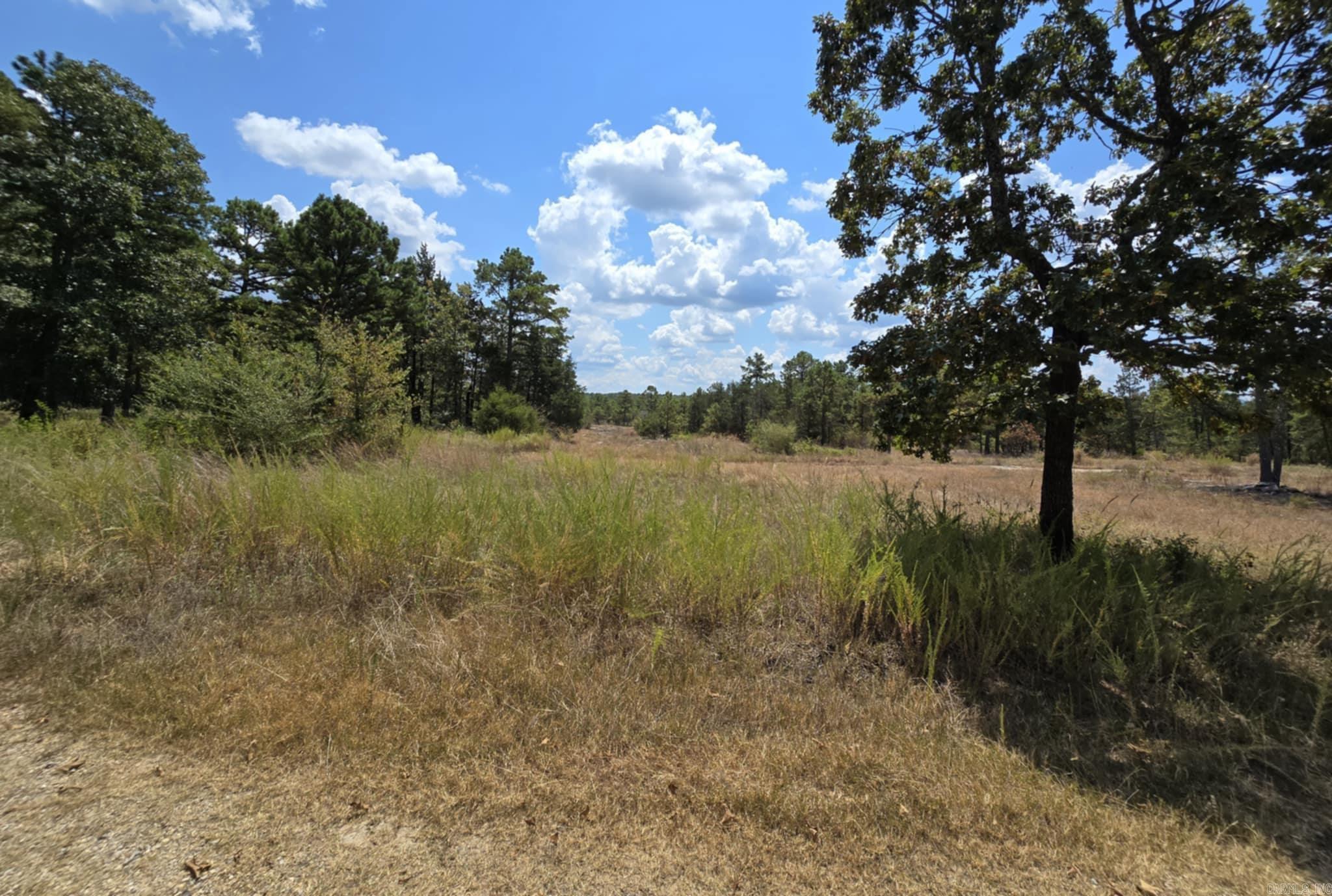 320 Pine Crest  Calico Rock, AR