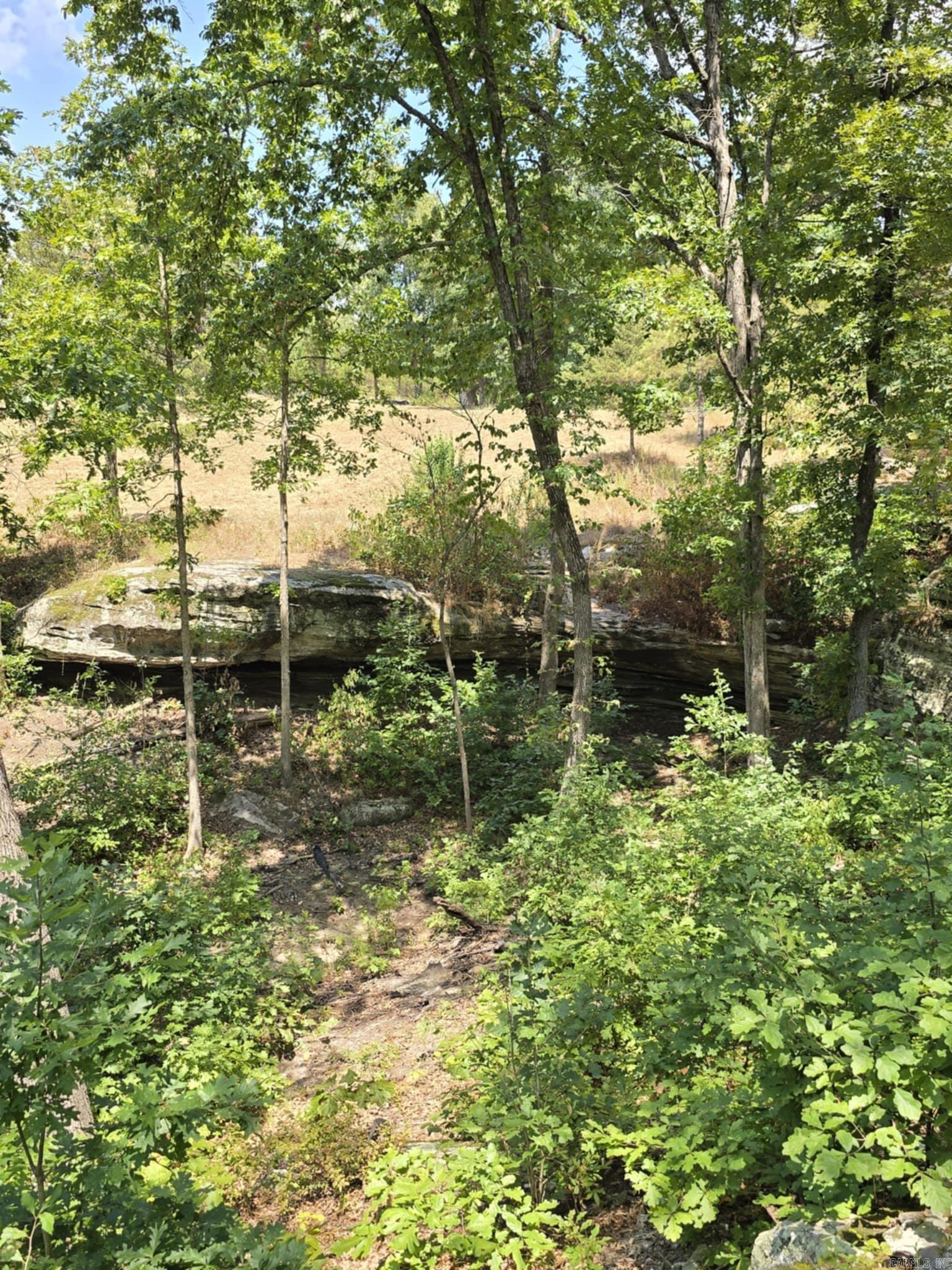 320 Pine Crest  Calico Rock, AR