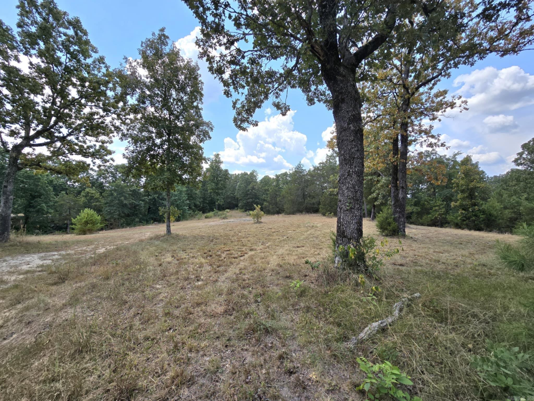 320 Pine Crest  Calico Rock, AR