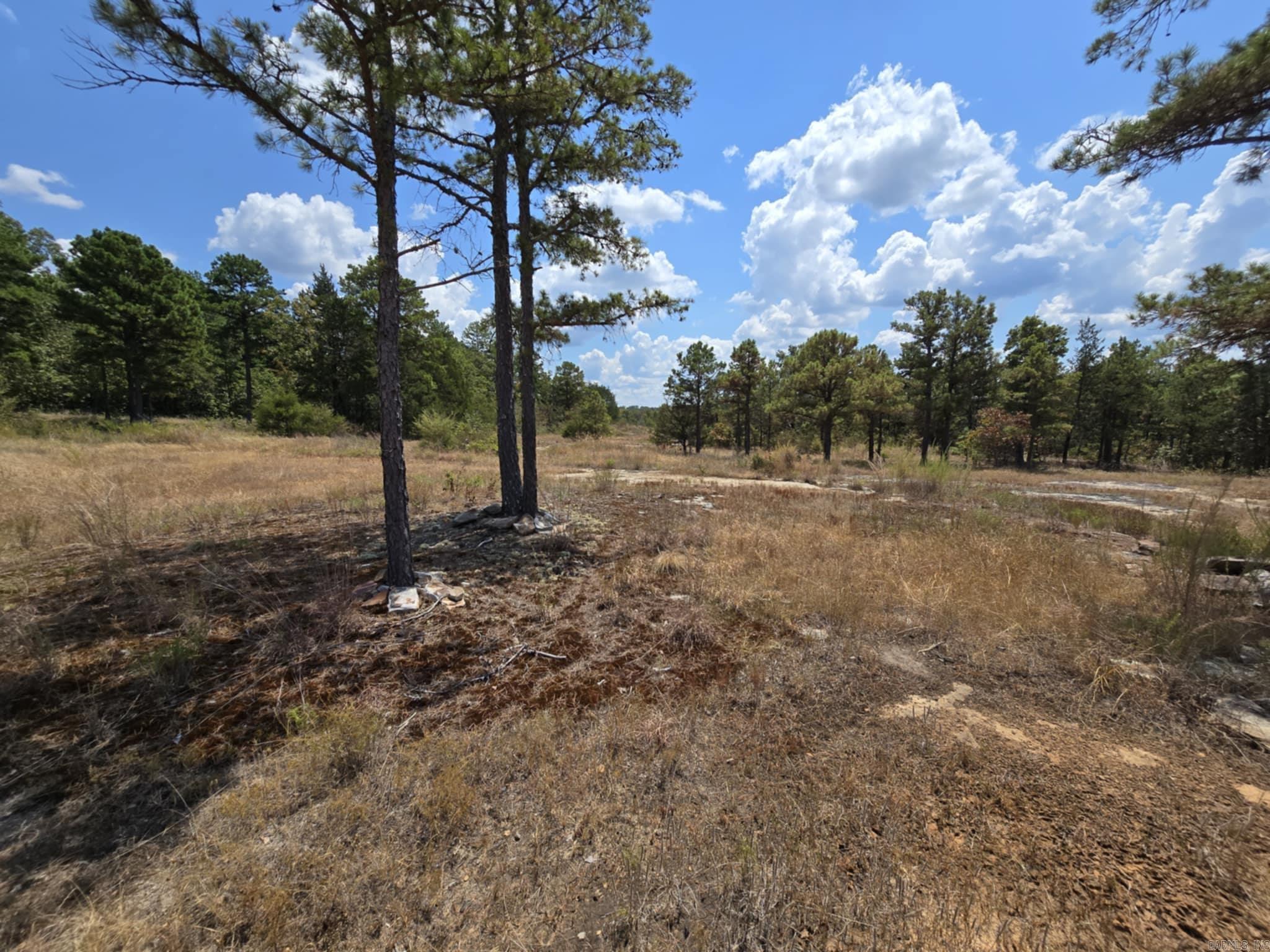 320 Pine Crest  Calico Rock, AR