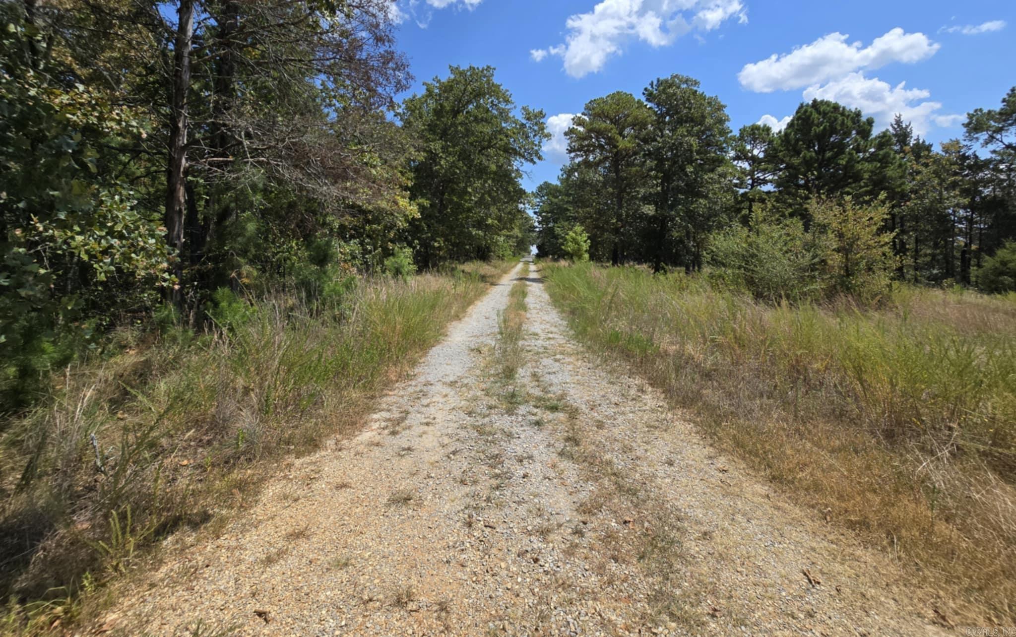 320 Pine Crest  Calico Rock, AR
