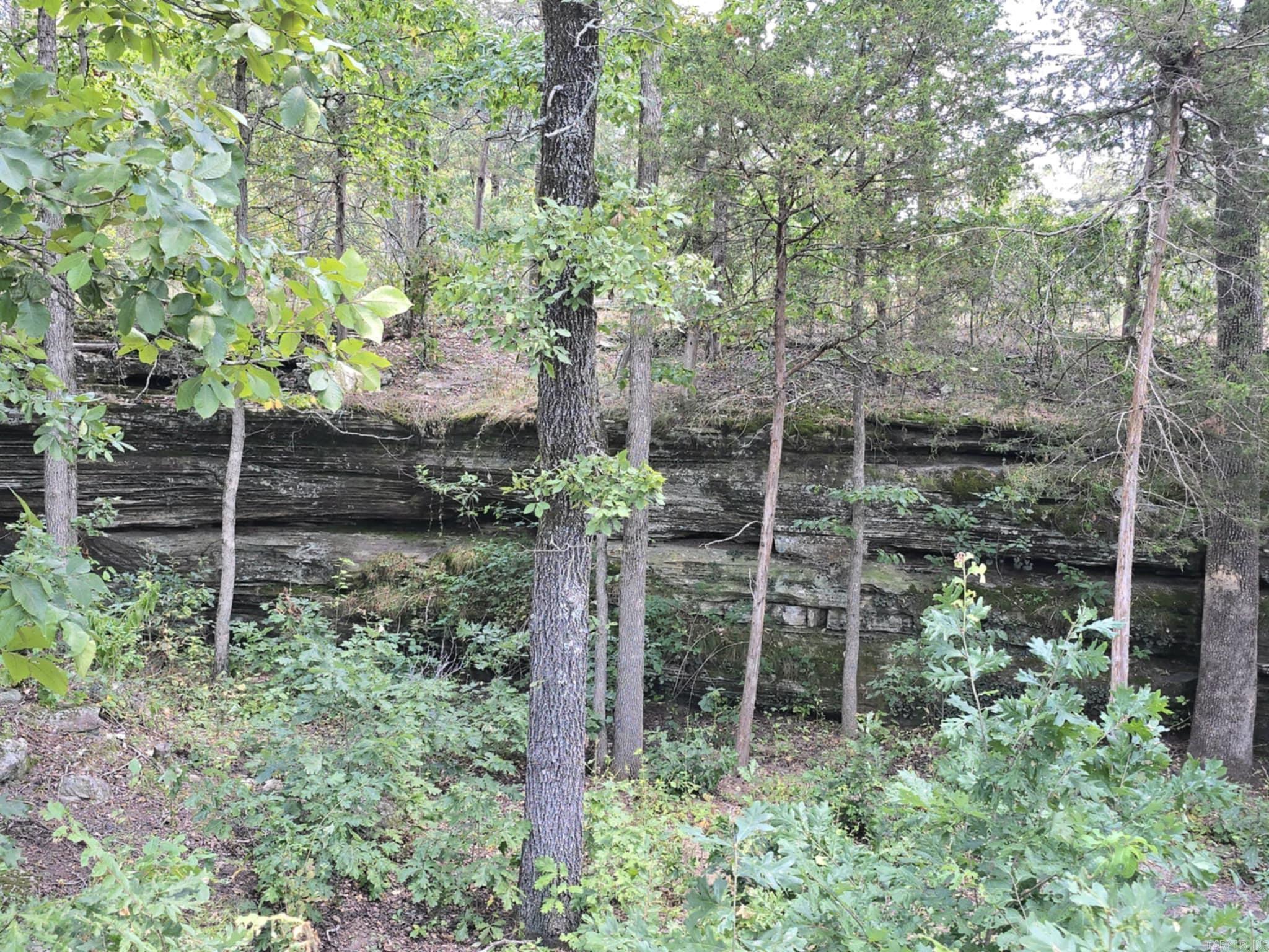 320 Pine Crest  Calico Rock, AR