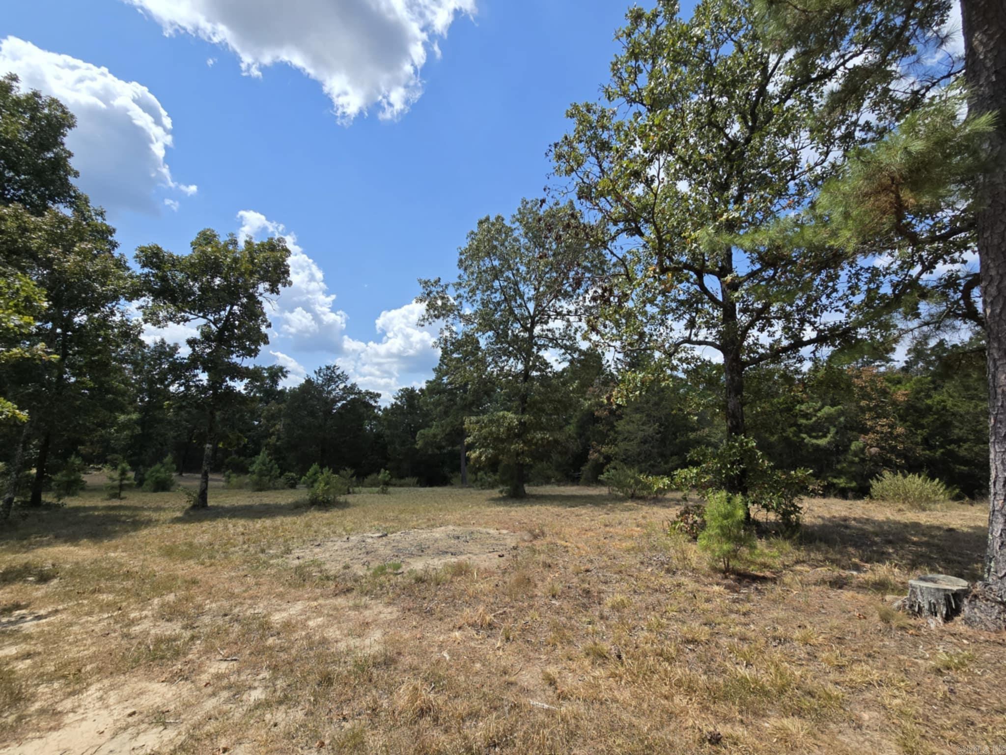 320 Pine Crest  Calico Rock, AR