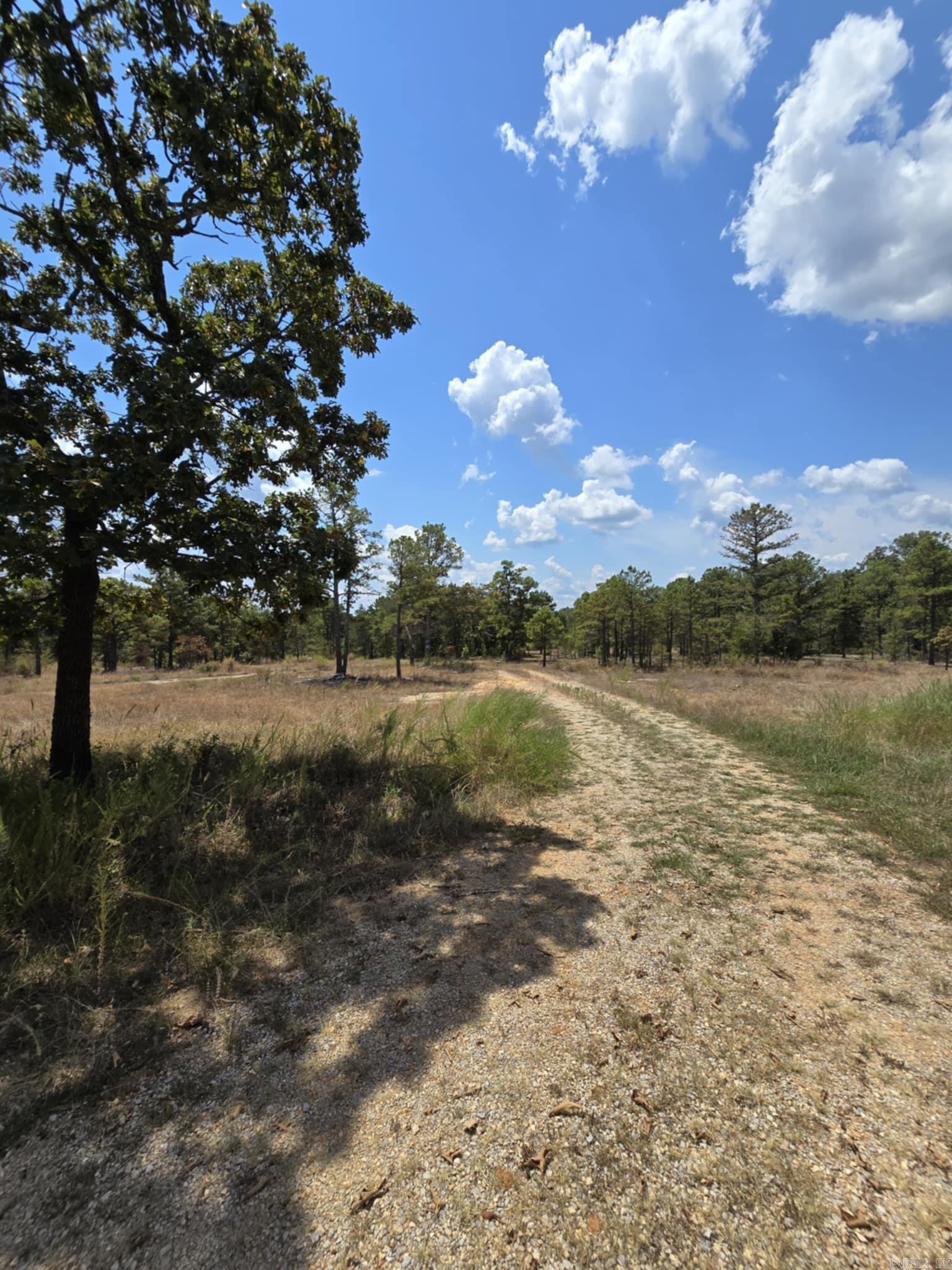 320 Pine Crest  Calico Rock, AR