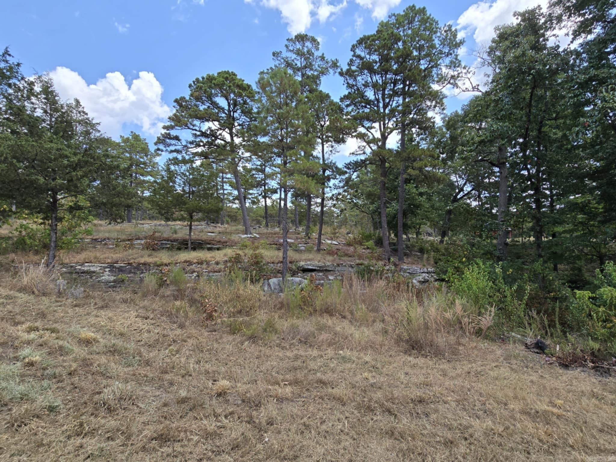 320 Pine Crest  Calico Rock, AR