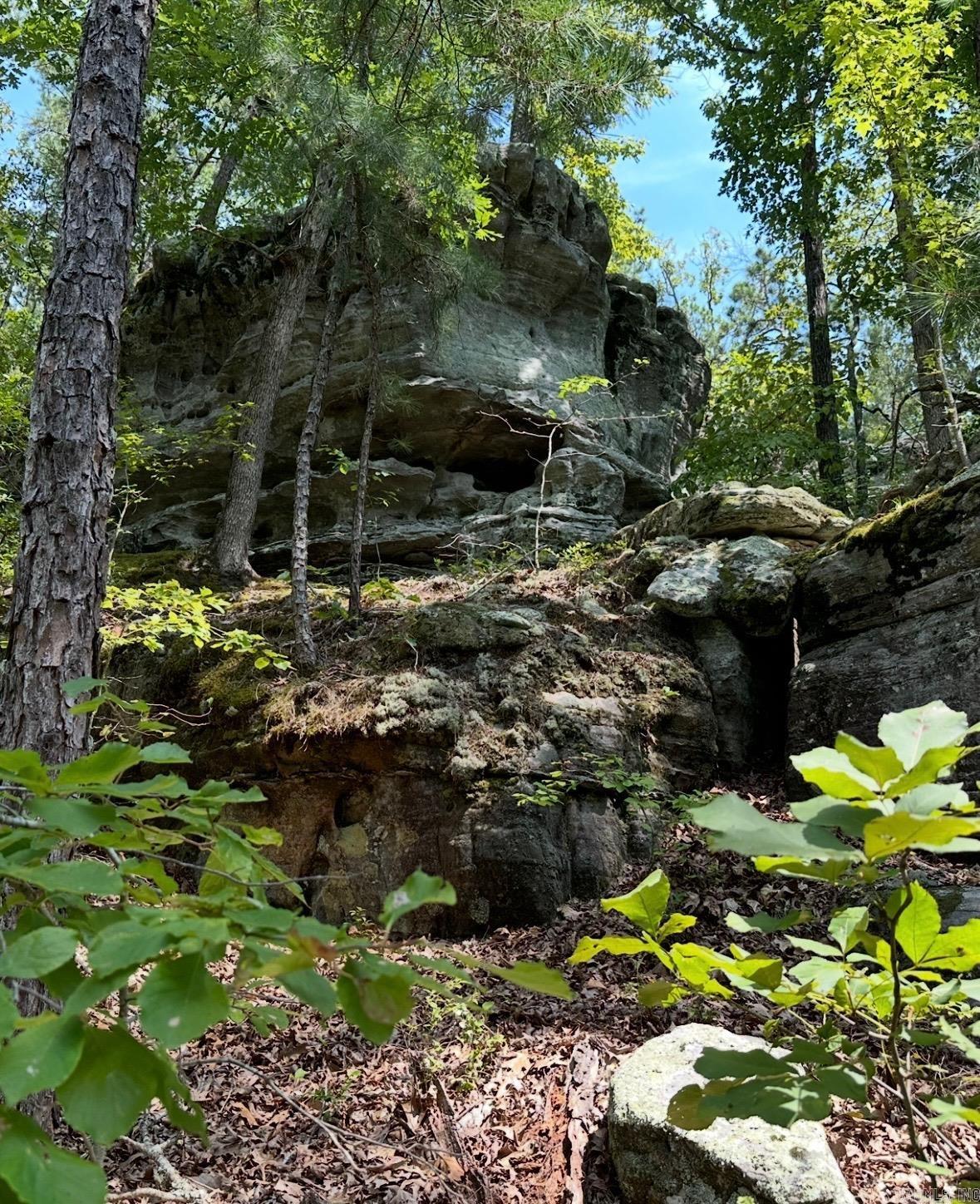 320 Pine Crest  Calico Rock, AR