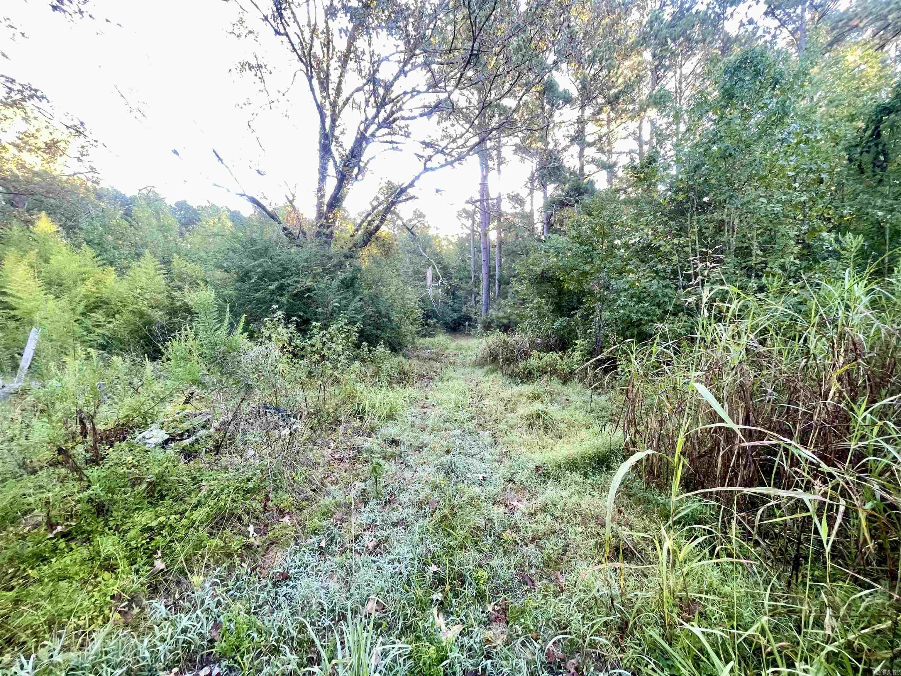 2161 Calhoun 3  Camden, AR