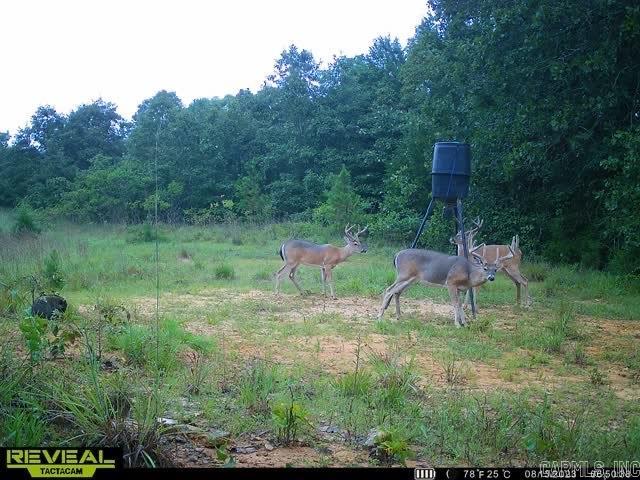 1591 AR hwy 115  Smithville, AR