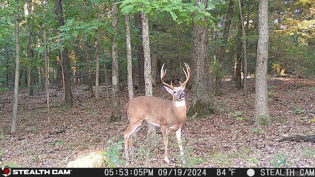 1591 AR hwy 115  Smithville, AR
