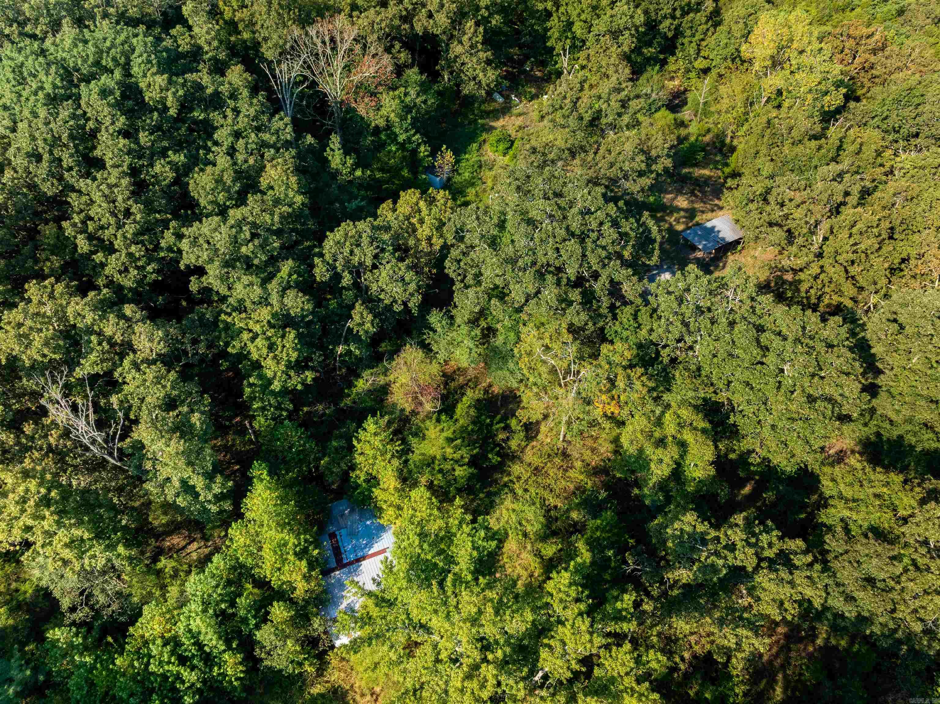 1591 AR hwy 115  Smithville, AR