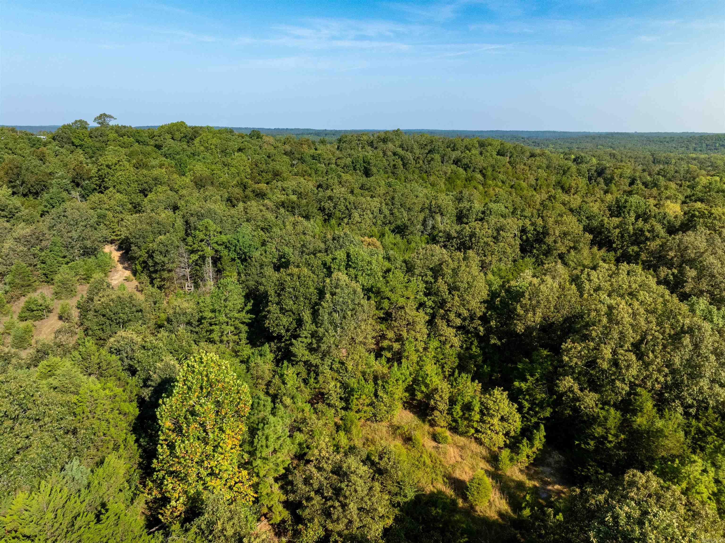 1591 AR hwy 115  Smithville, AR