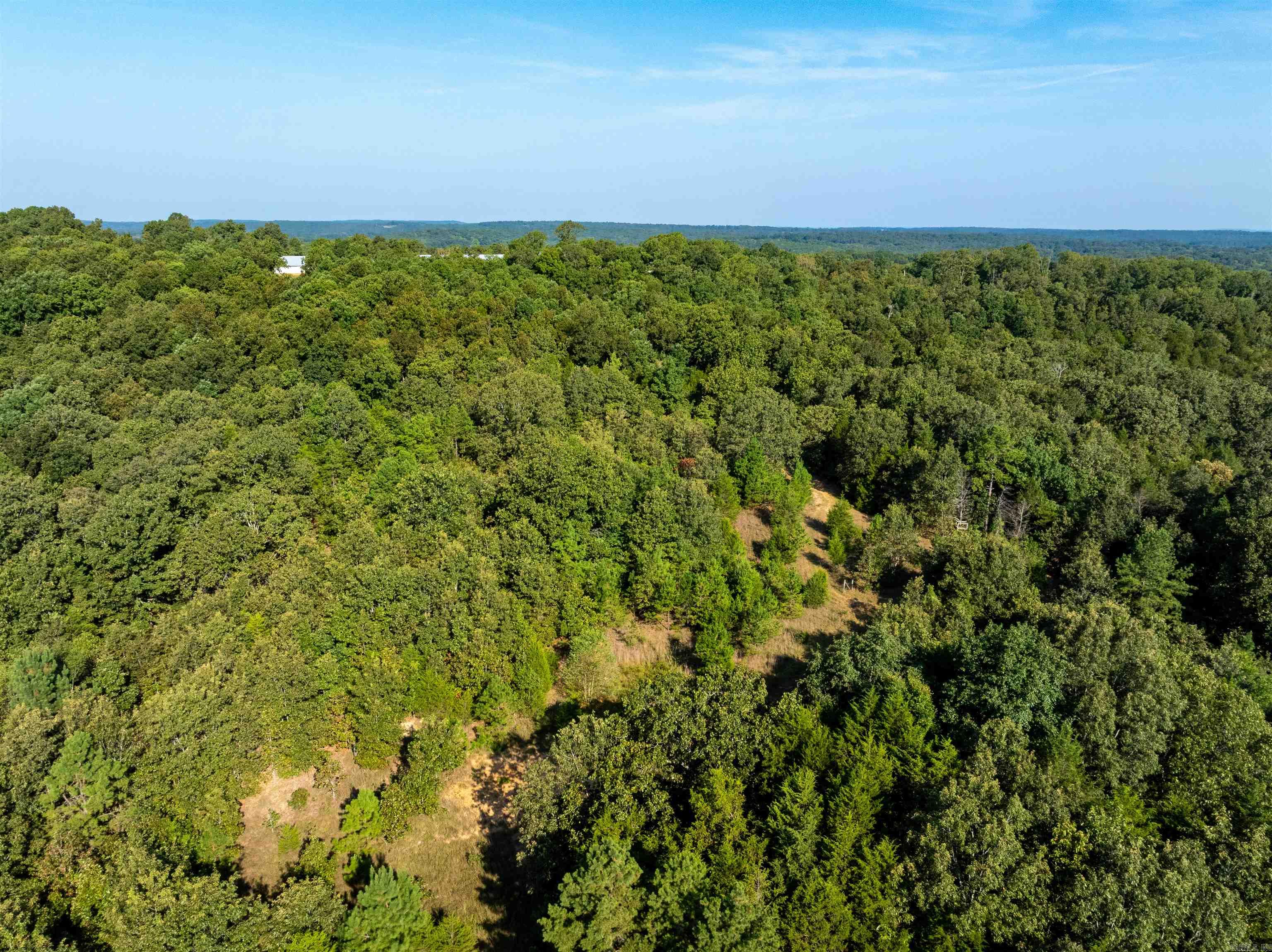 1591 AR hwy 115  Smithville, AR