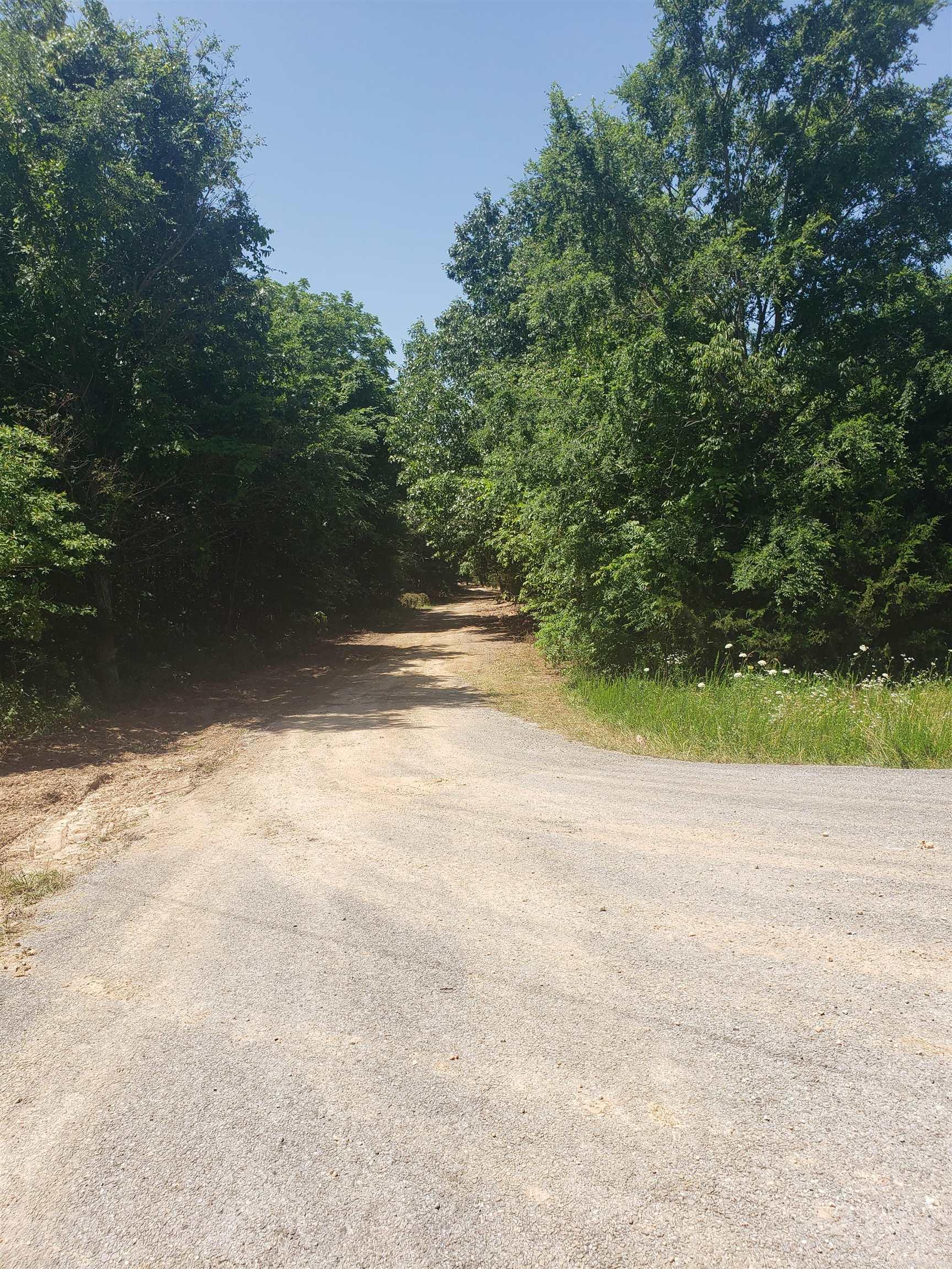 Lot 9 Longhorn Drive  Garfield, AR