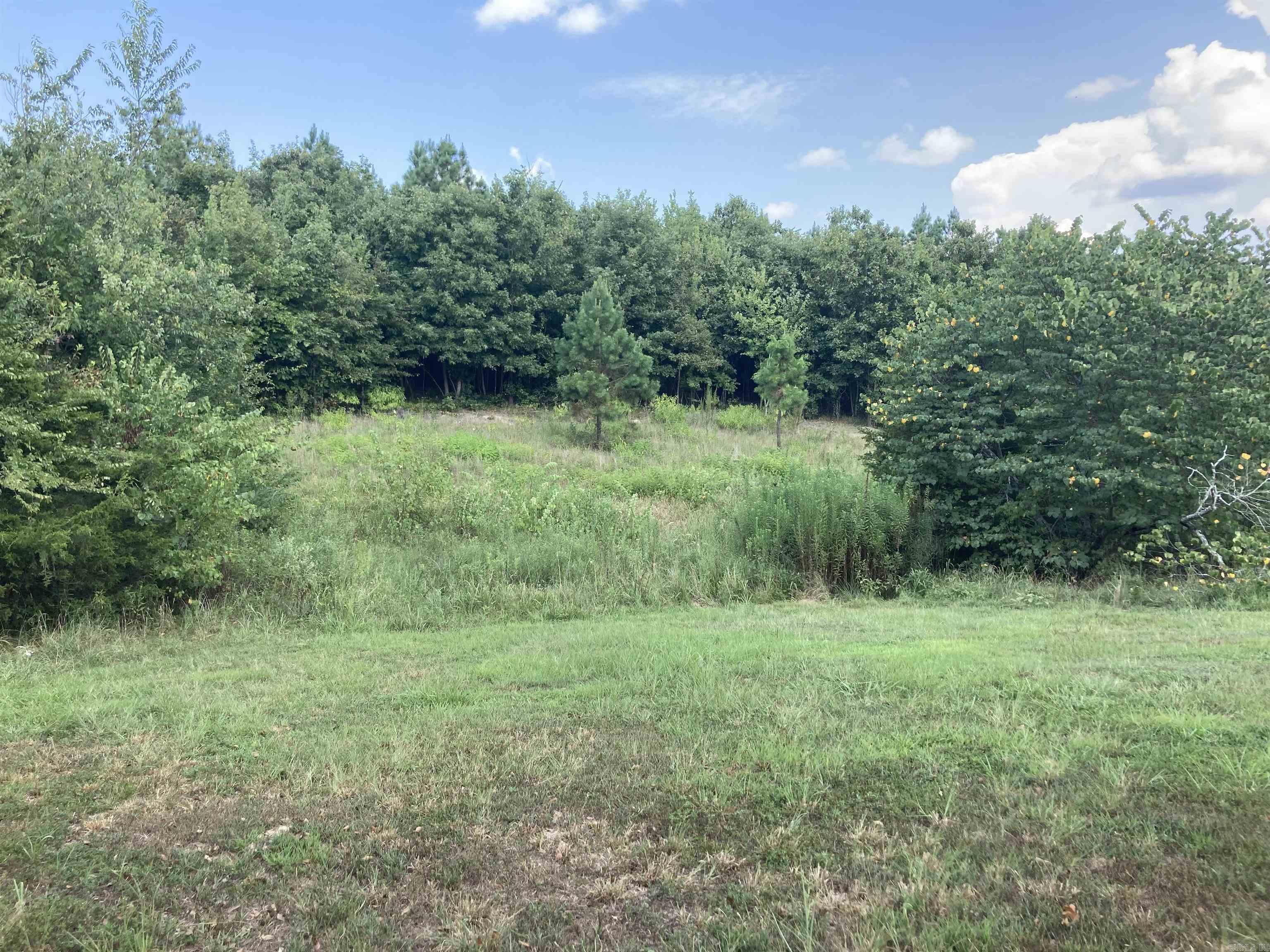 1128 Polk Road 23  Cove, AR