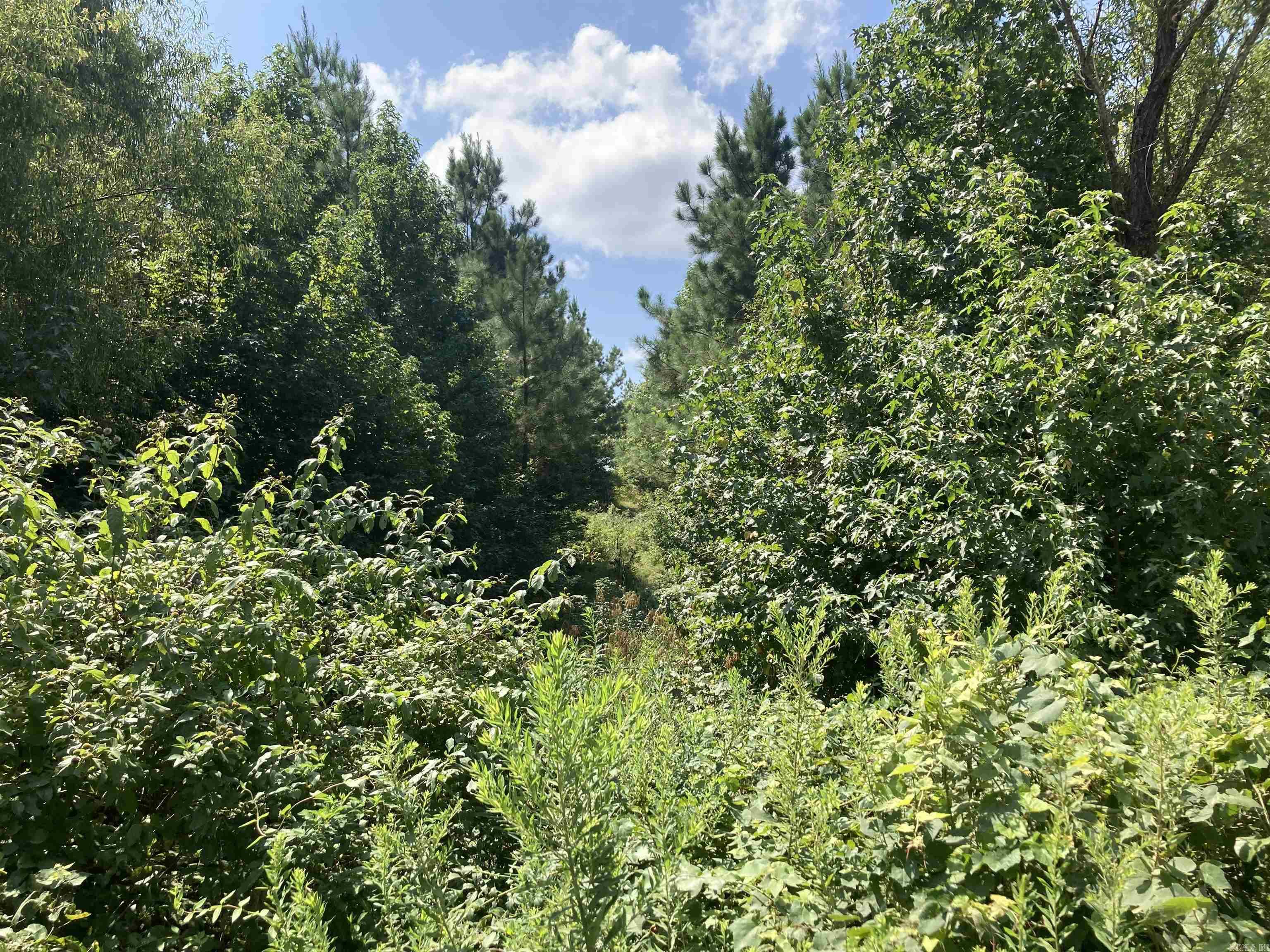 1128 Polk Road 23  Cove, AR