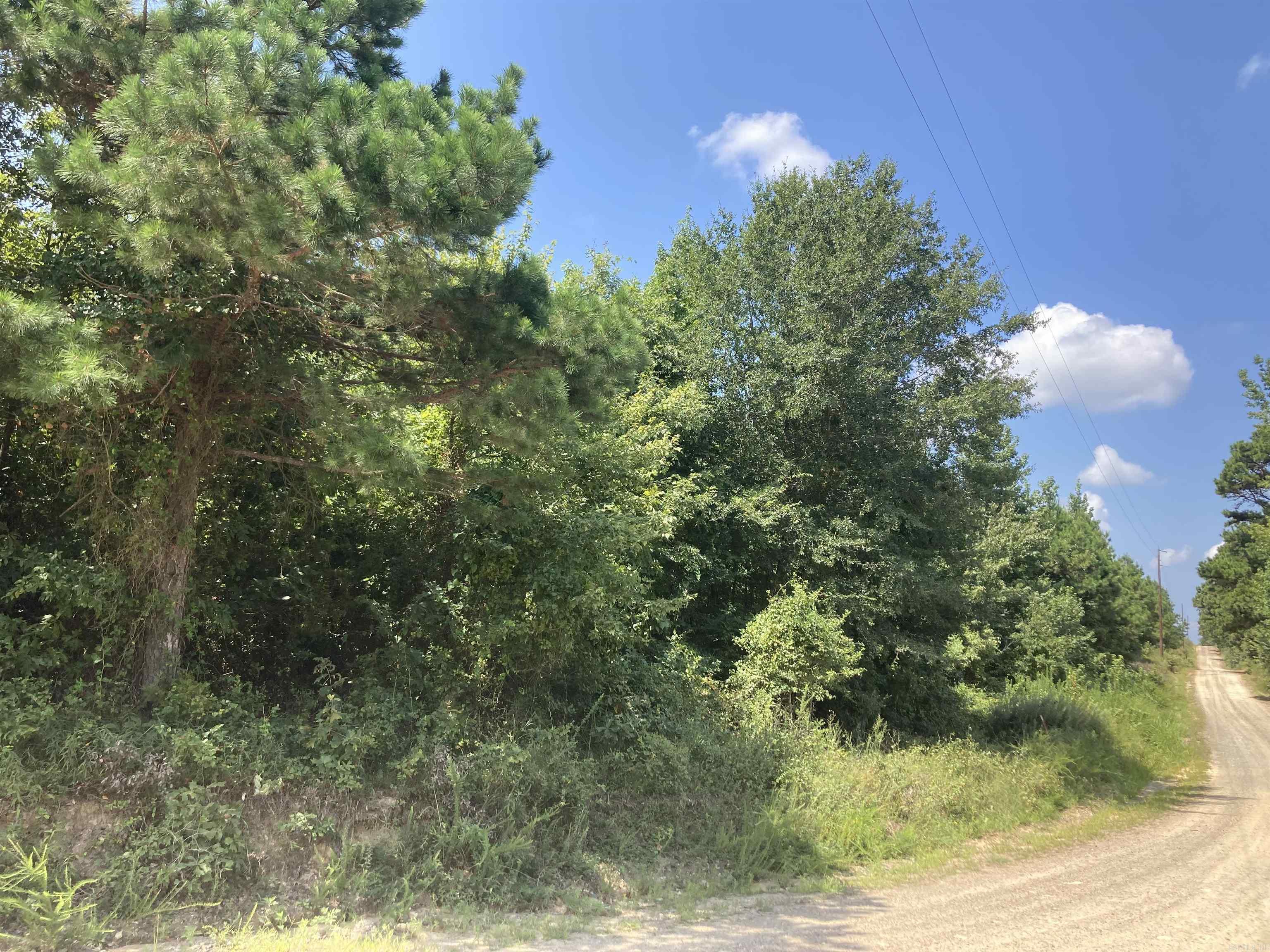 1128 Polk Road 23  Cove, AR