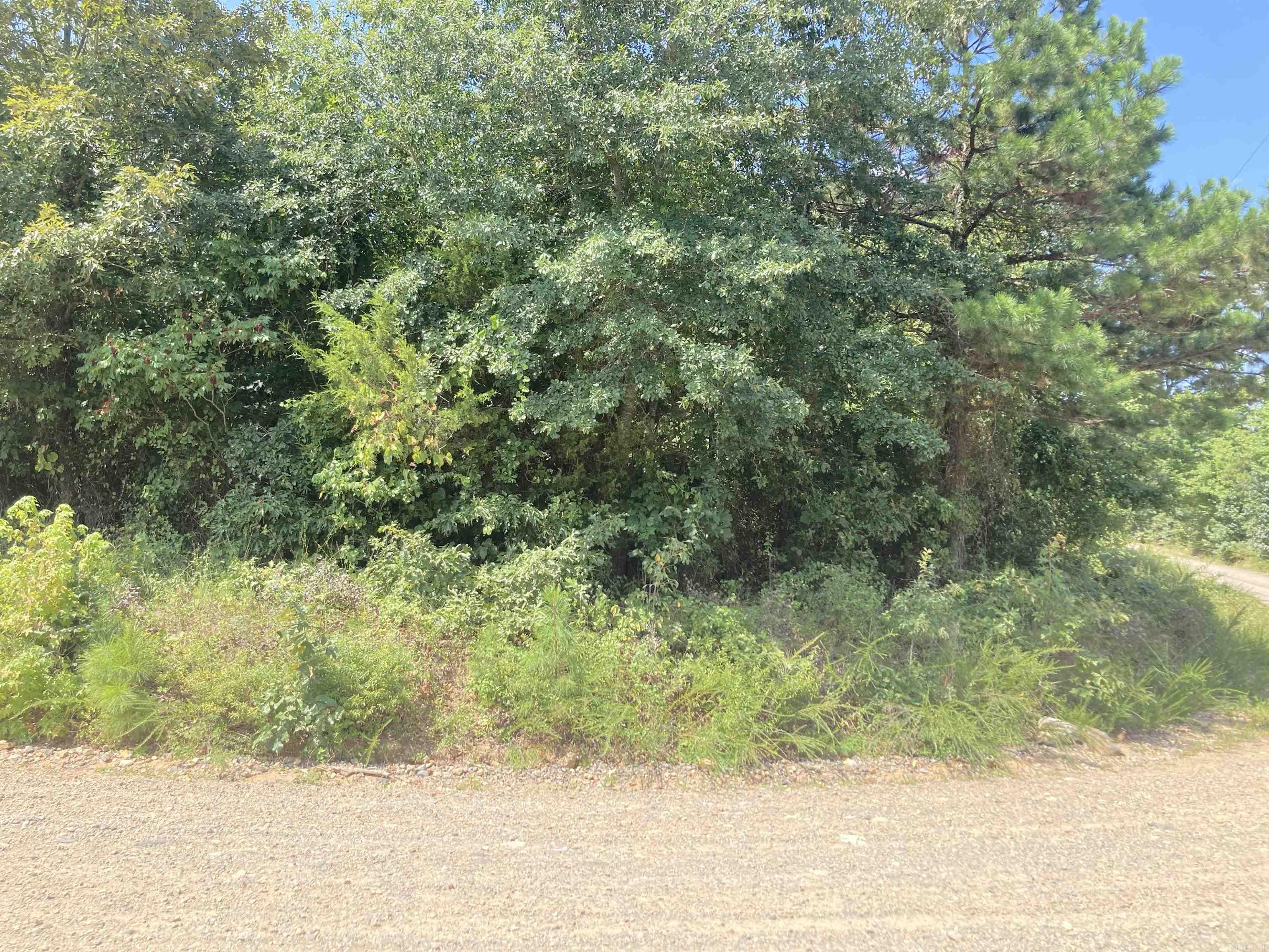 1128 Polk Road 23  Cove, AR
