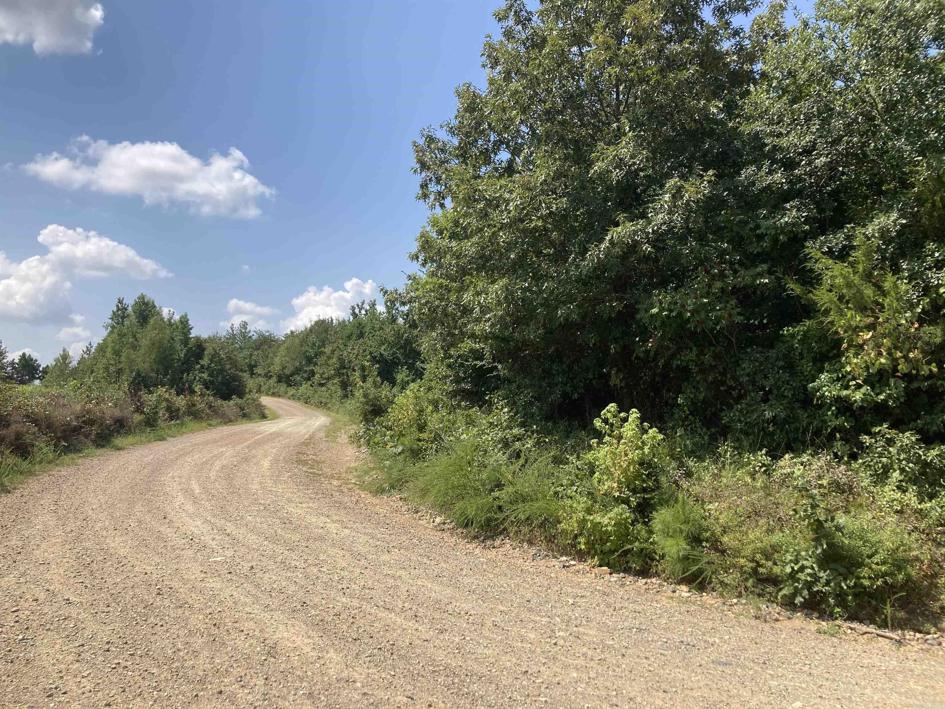 1128 Polk Road 23  Cove, AR