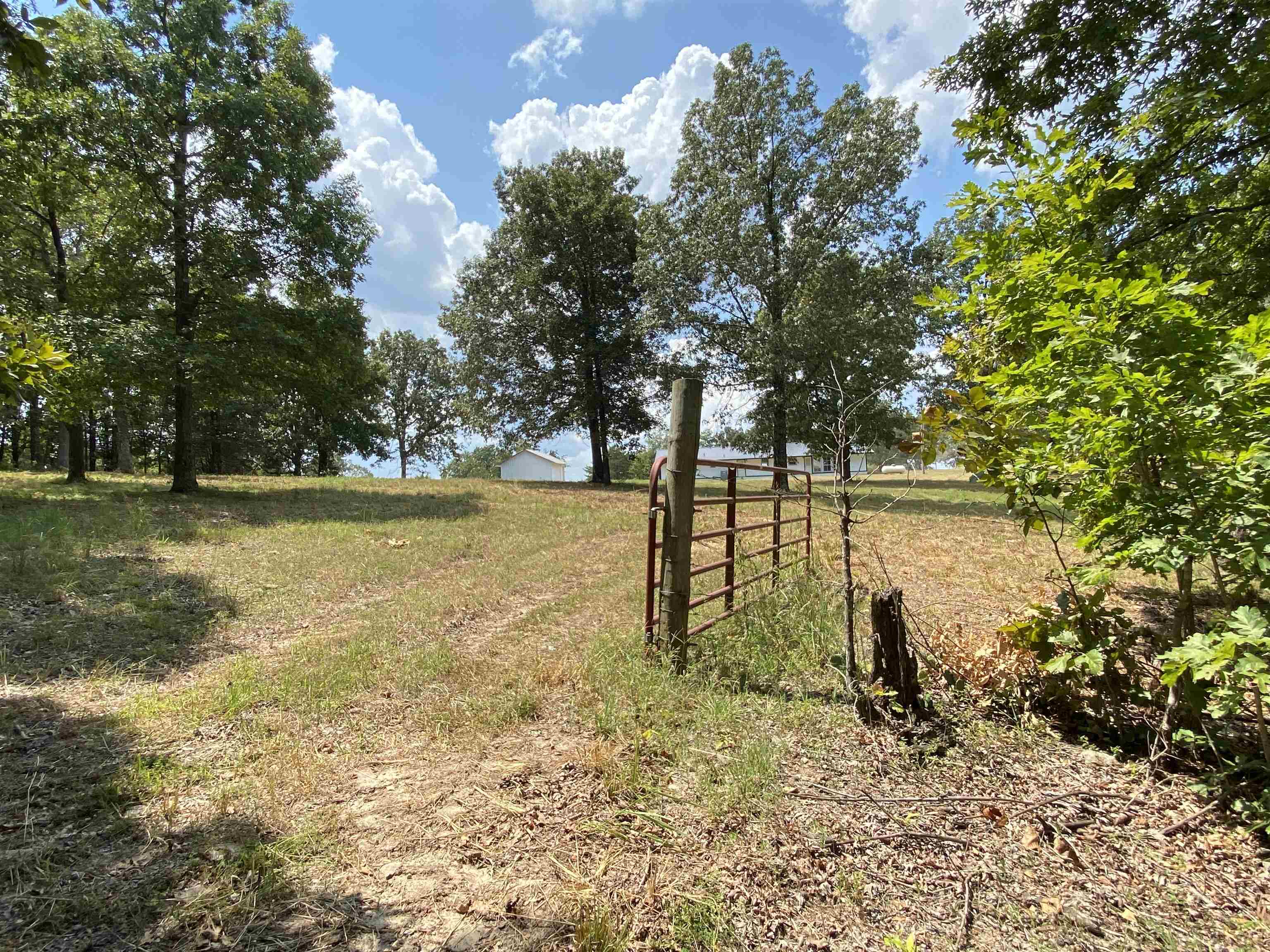 117 Lawrence 224  Imboden, AR