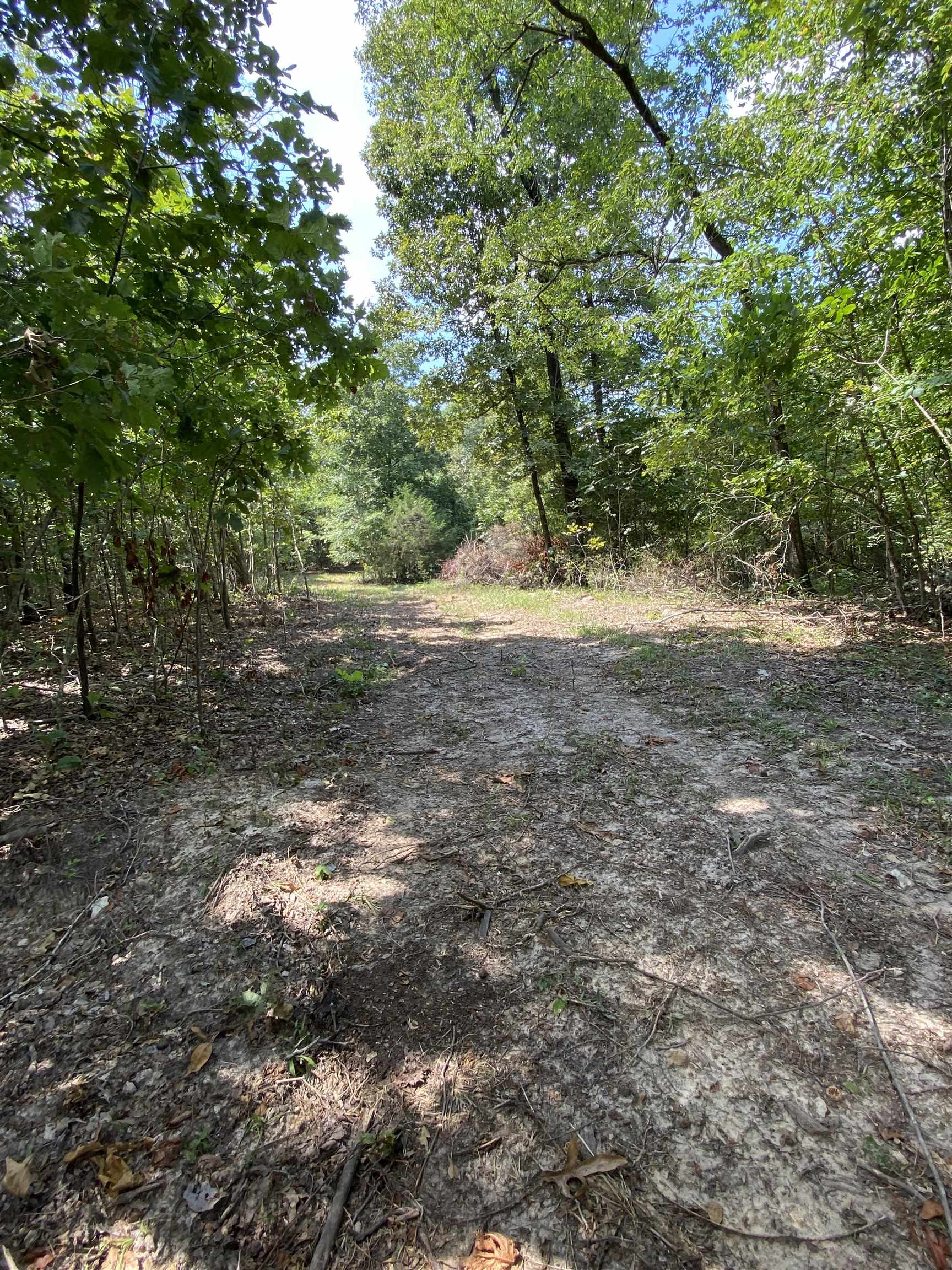 117 Lawrence 224  Imboden, AR