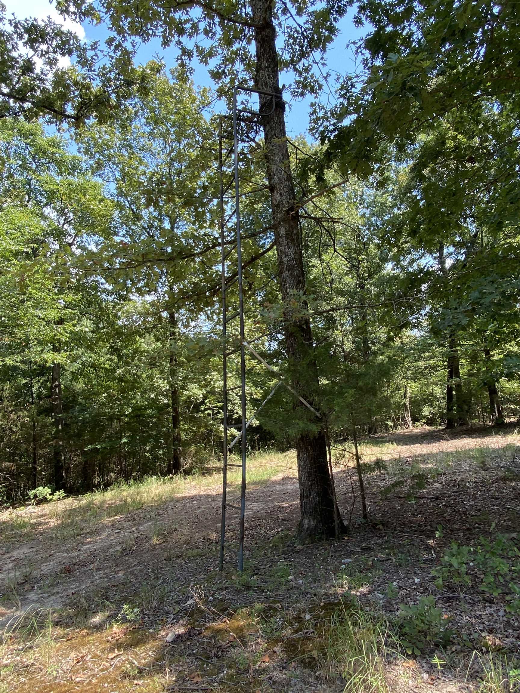 117 Lawrence 224  Imboden, AR