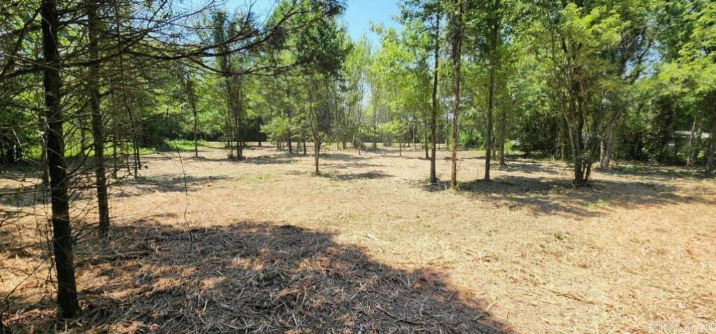 101 COUNTY ROAD 2361  Clarksville, AR