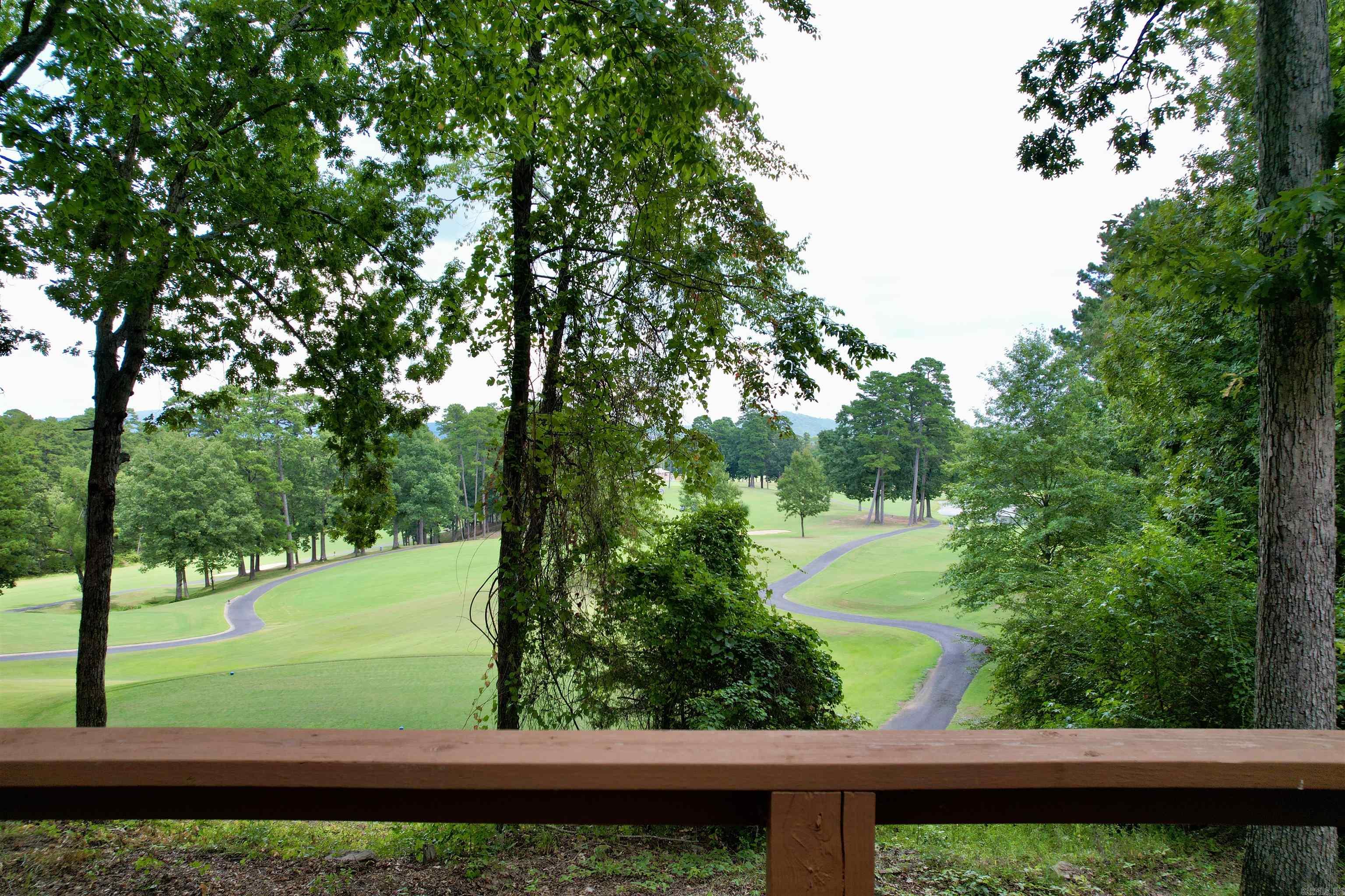 46 Acceso  Hot Springs Village, AR