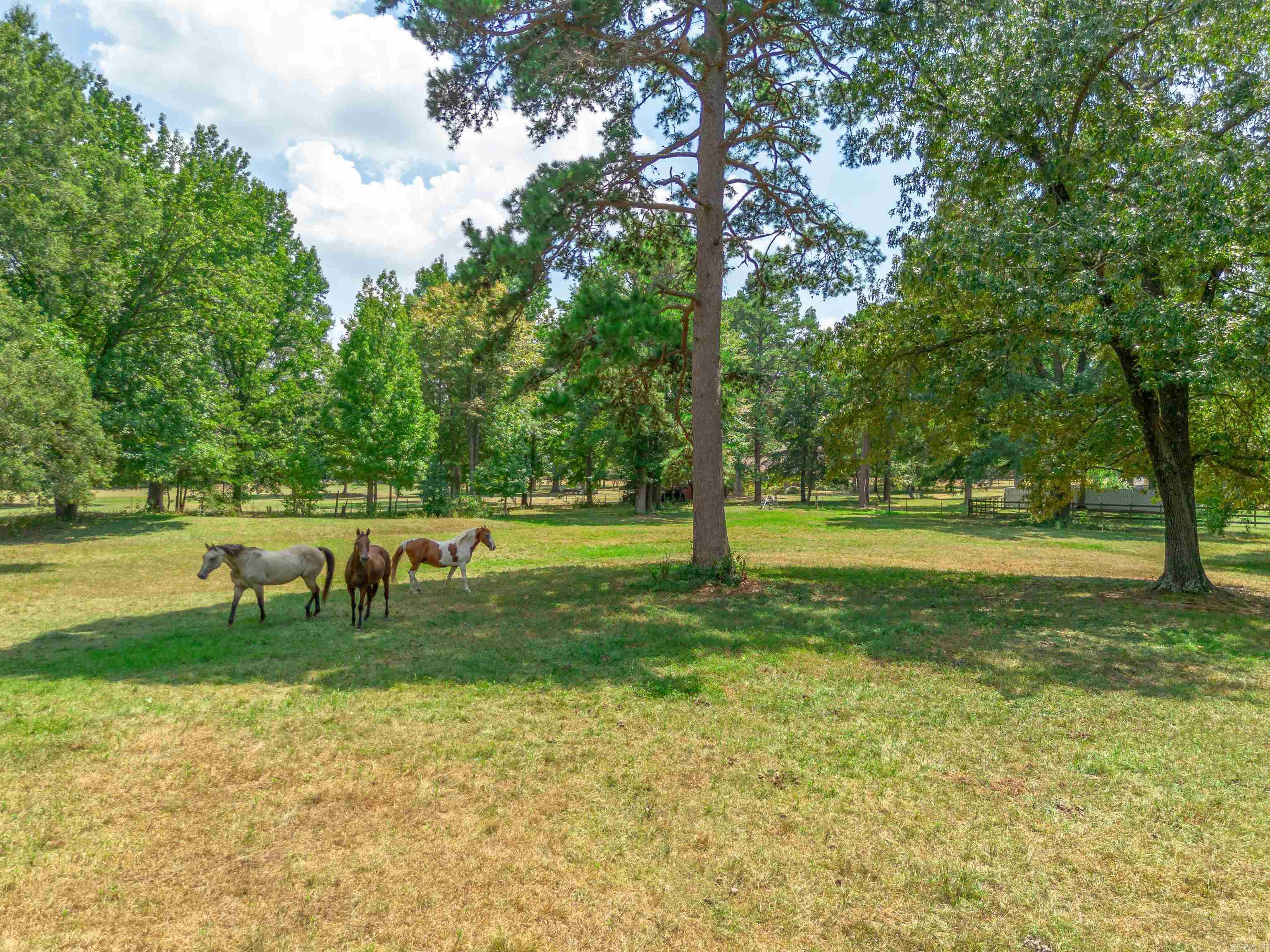 122 N Woodland Drive  Conway, AR