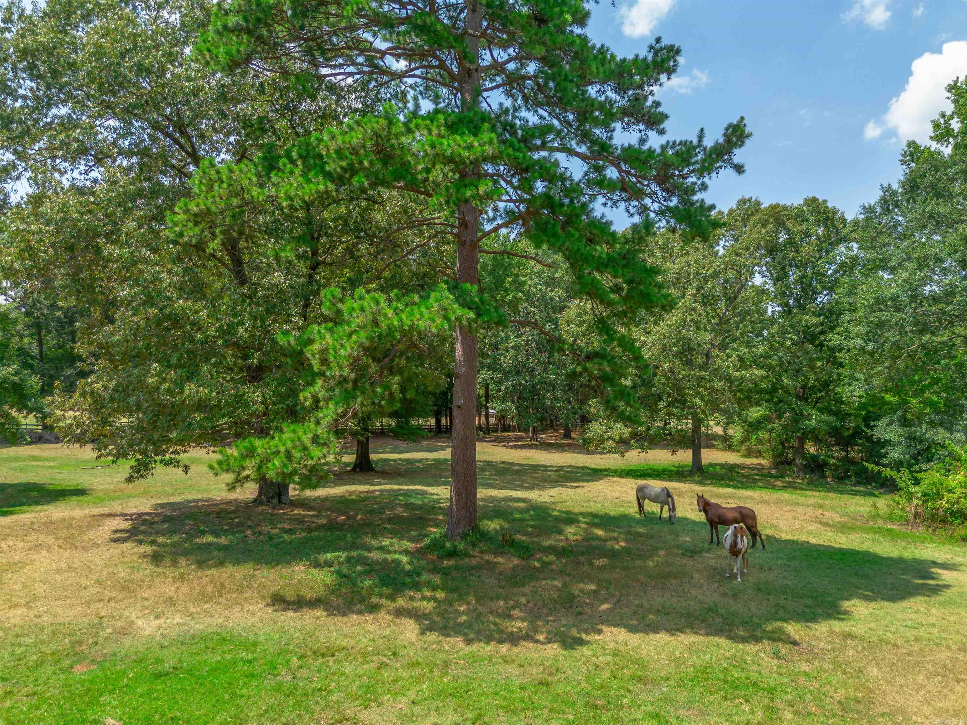 122 N Woodland Drive  Conway, AR